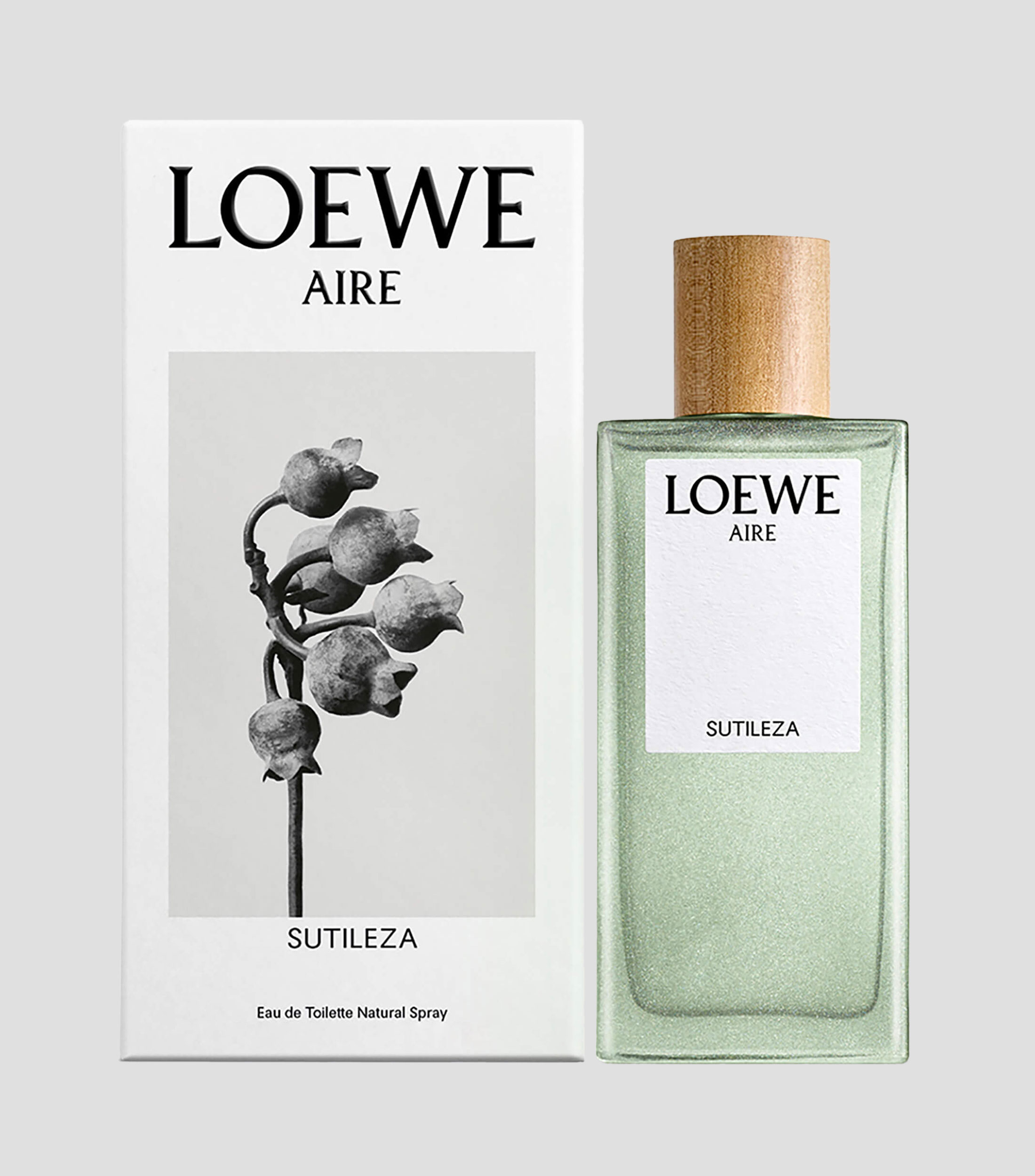 Perfume, Aire Sutileza Eau de Toilette, 100 ml Mujer