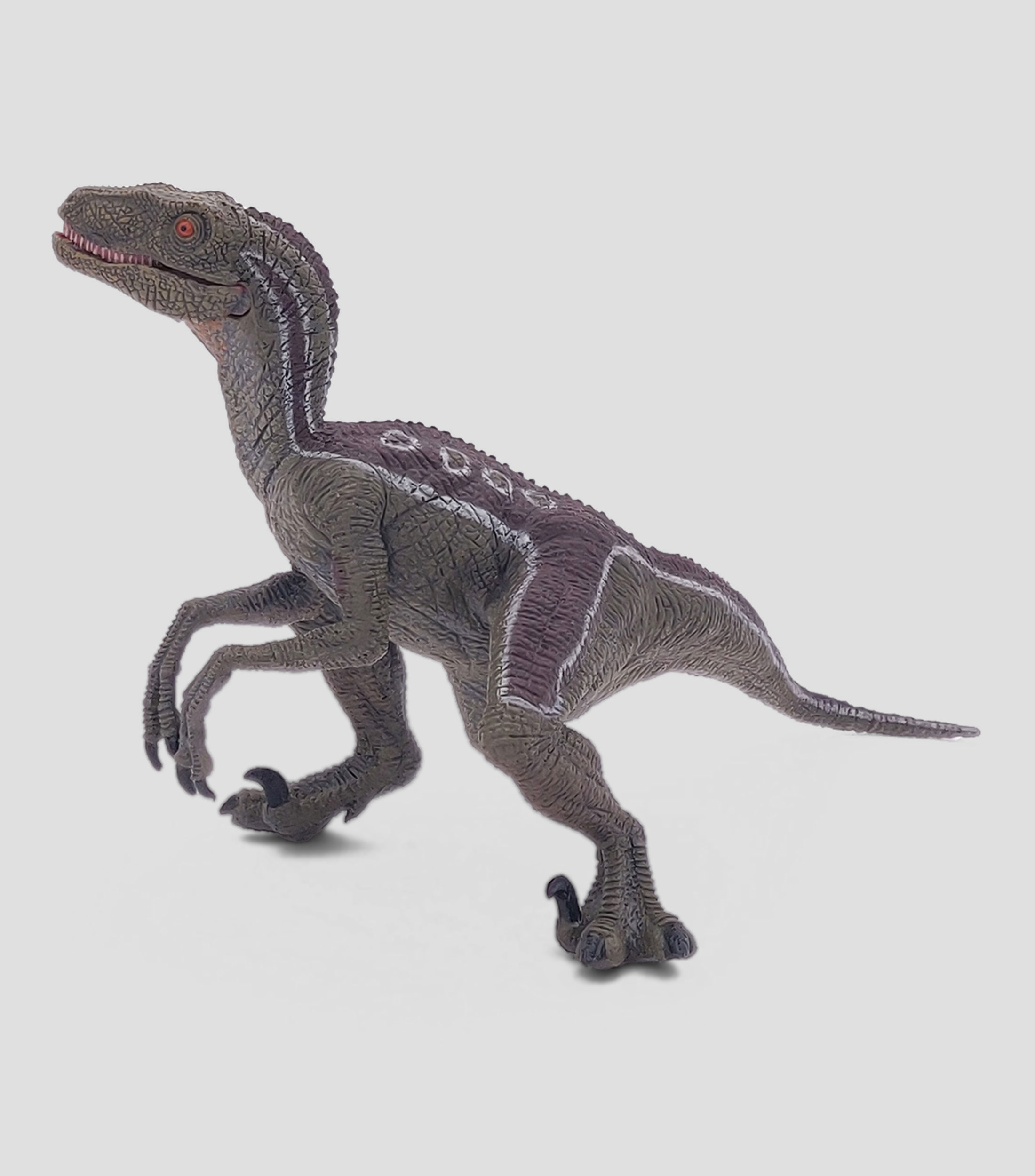 Velociraptor