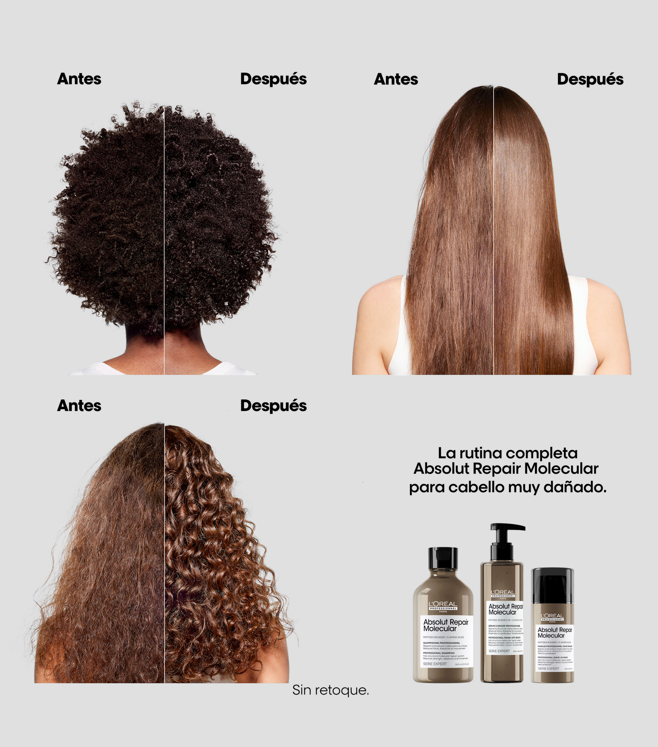 Shampoo para cabello Absolut Repair Molecular, 300 ml