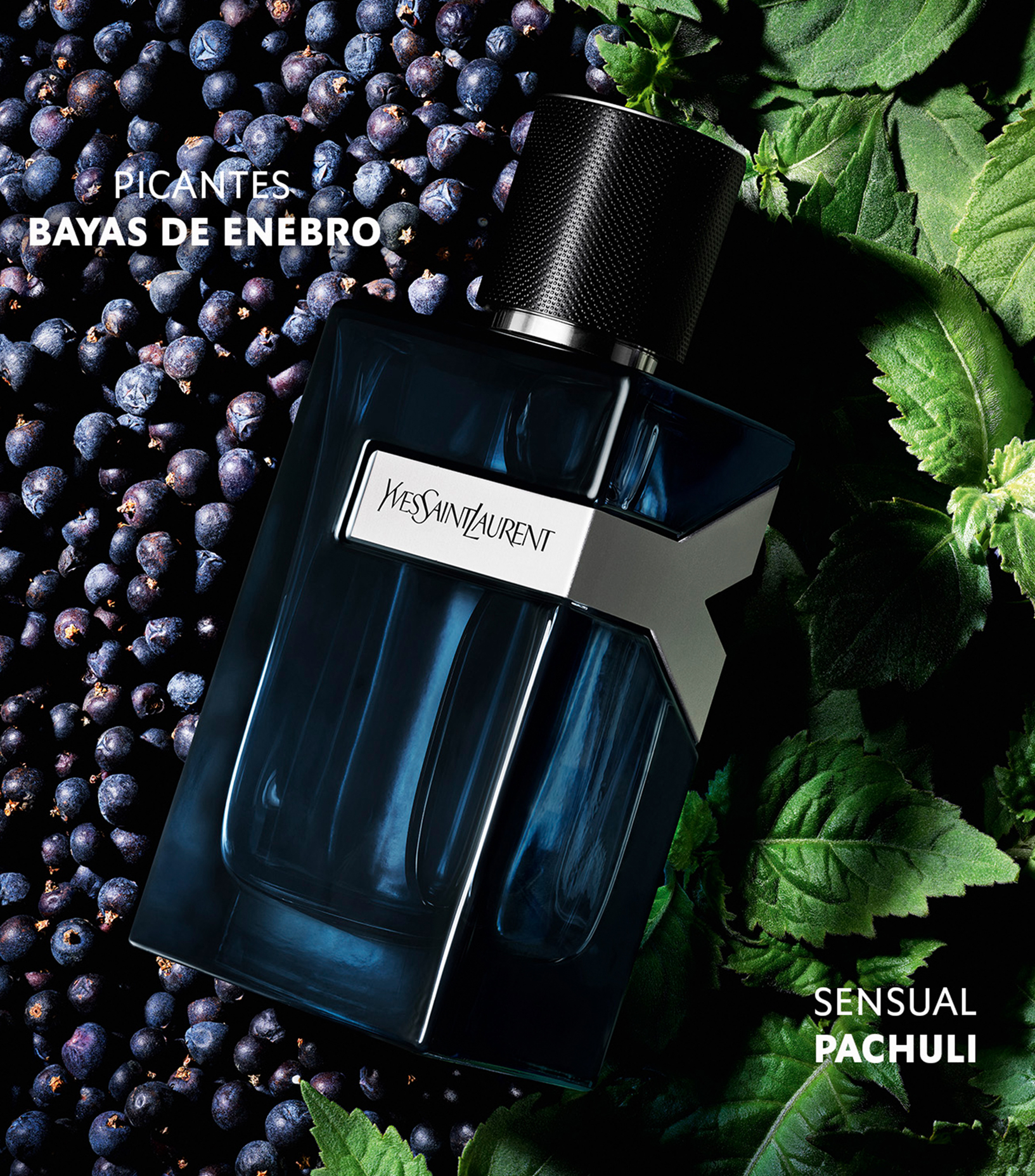 Perfume Y Eau De Parfum Intense, 100 ml para Hombre