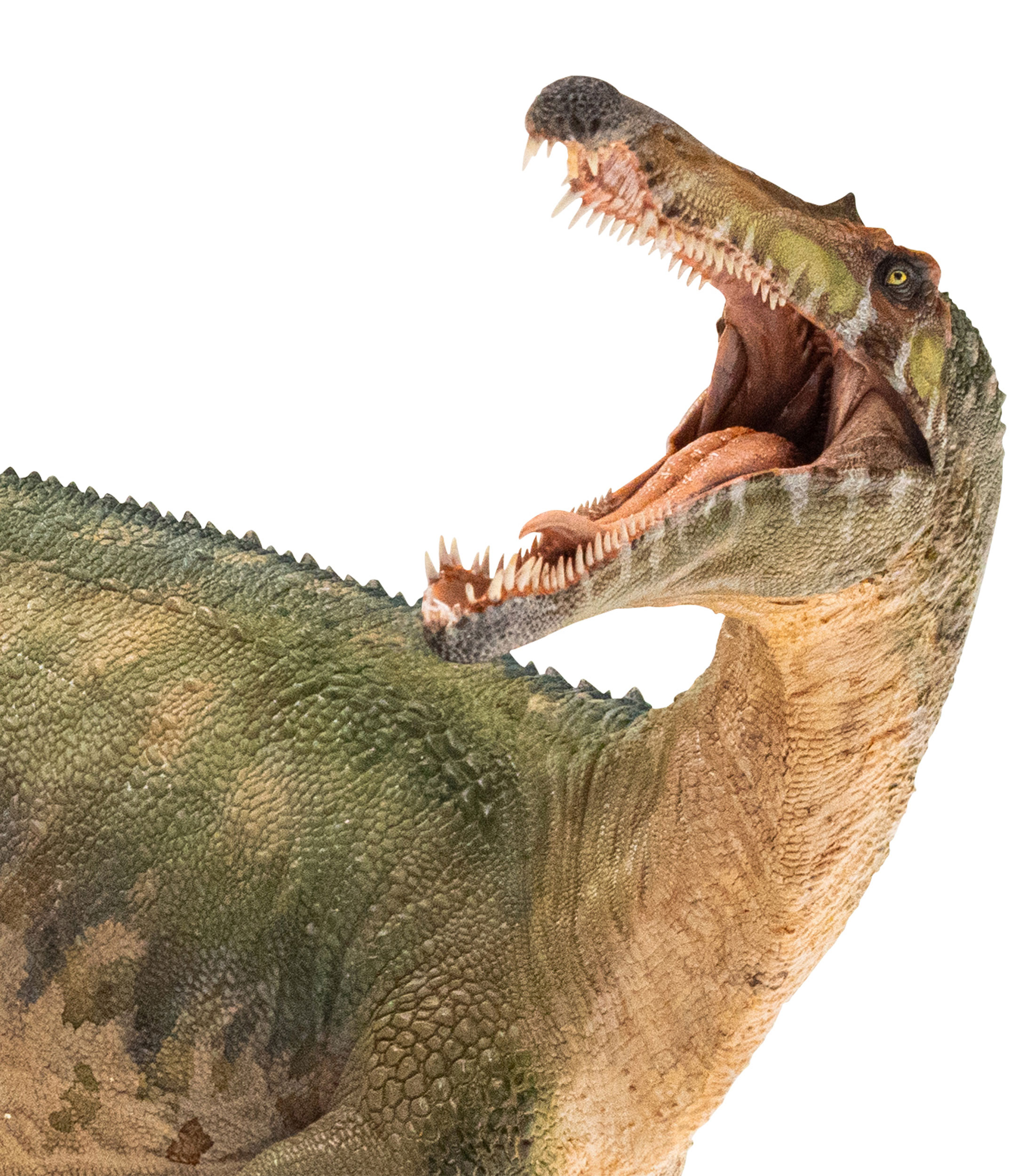 Suchomimus