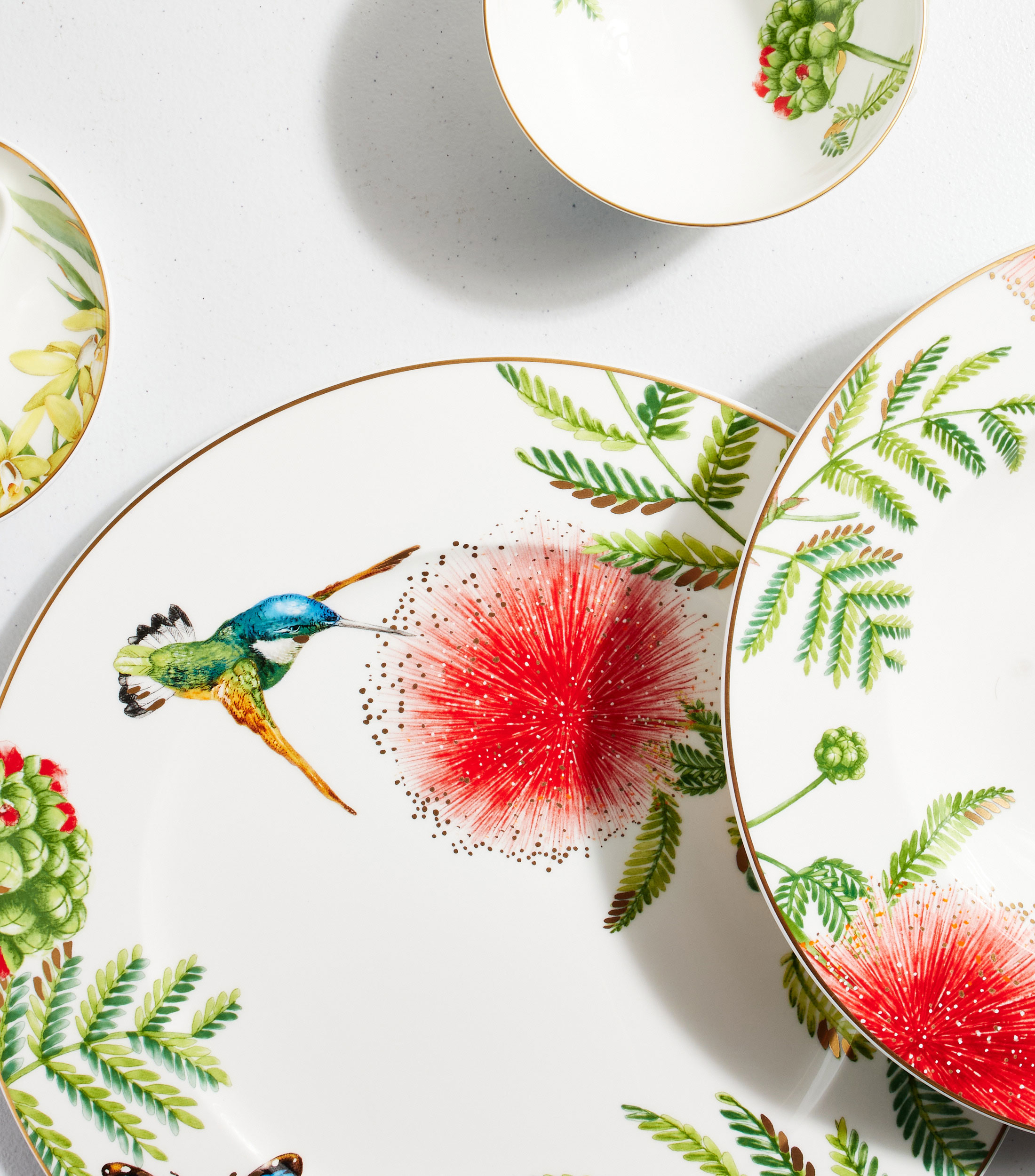 Plato Bajo Amazonia Anmut naturaleza en porcelana