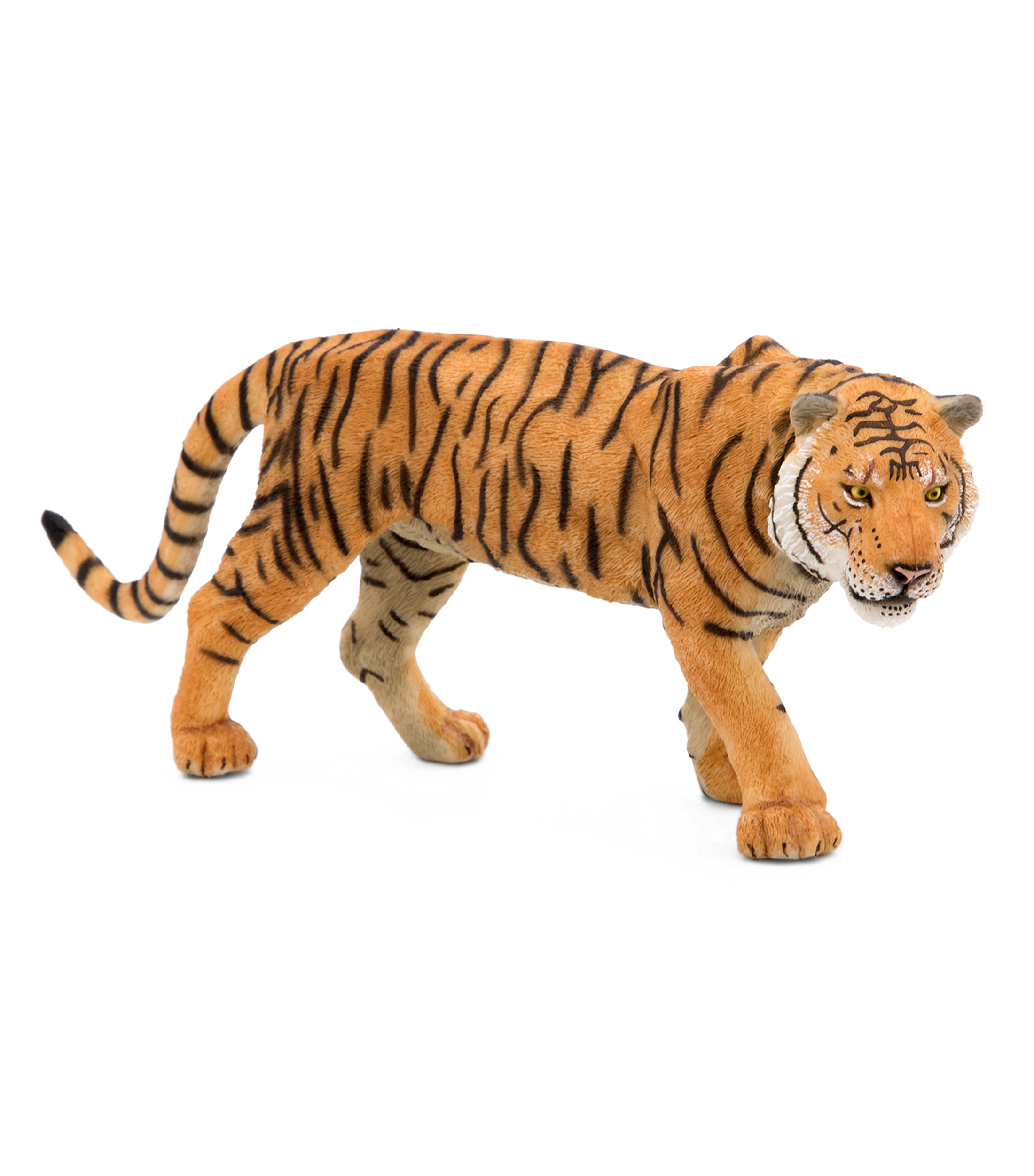 Tigre
