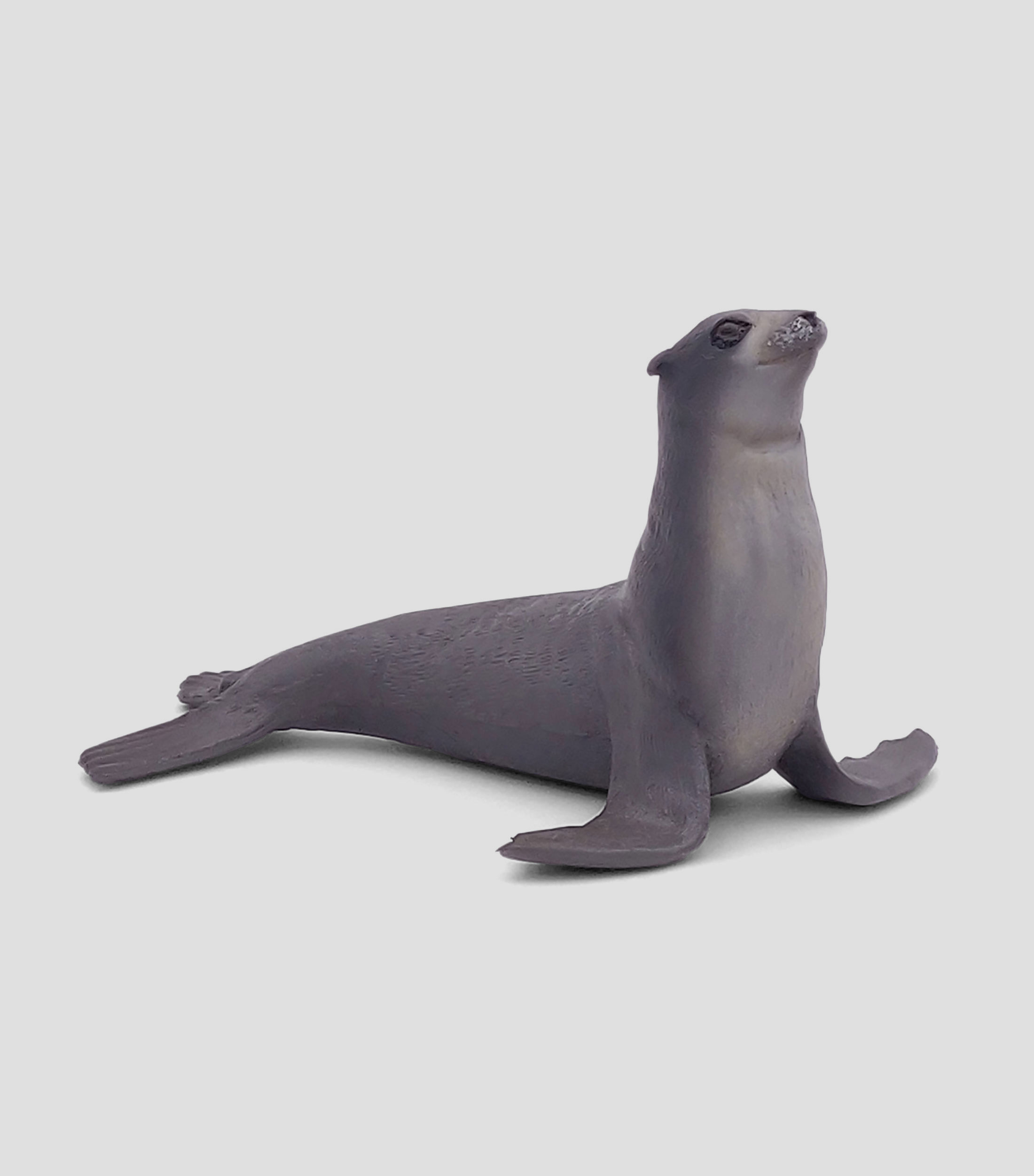 Figura de Leon Marino