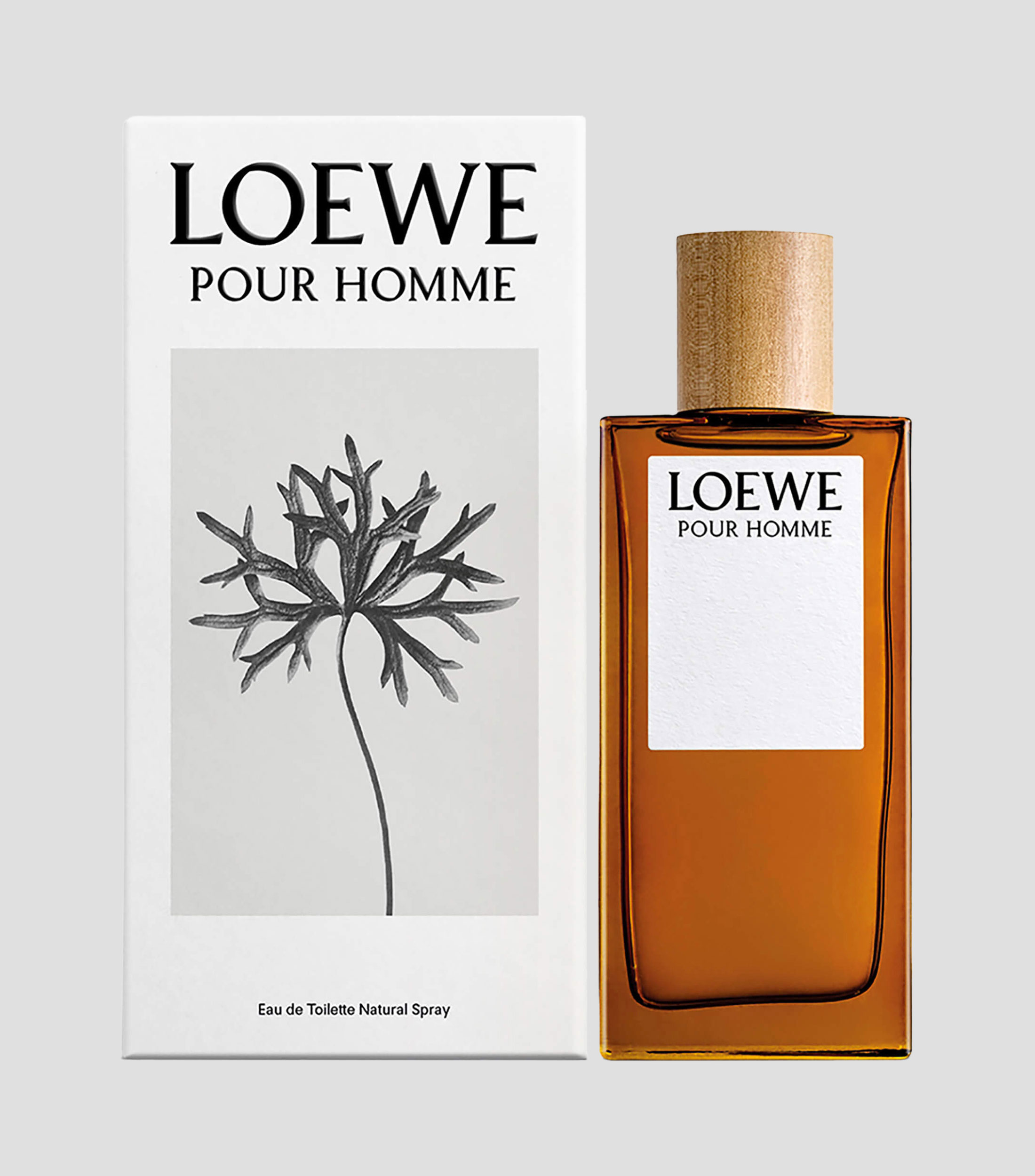 Perfume Pour Homme Eau de Toilette, 100 ml para Hombre