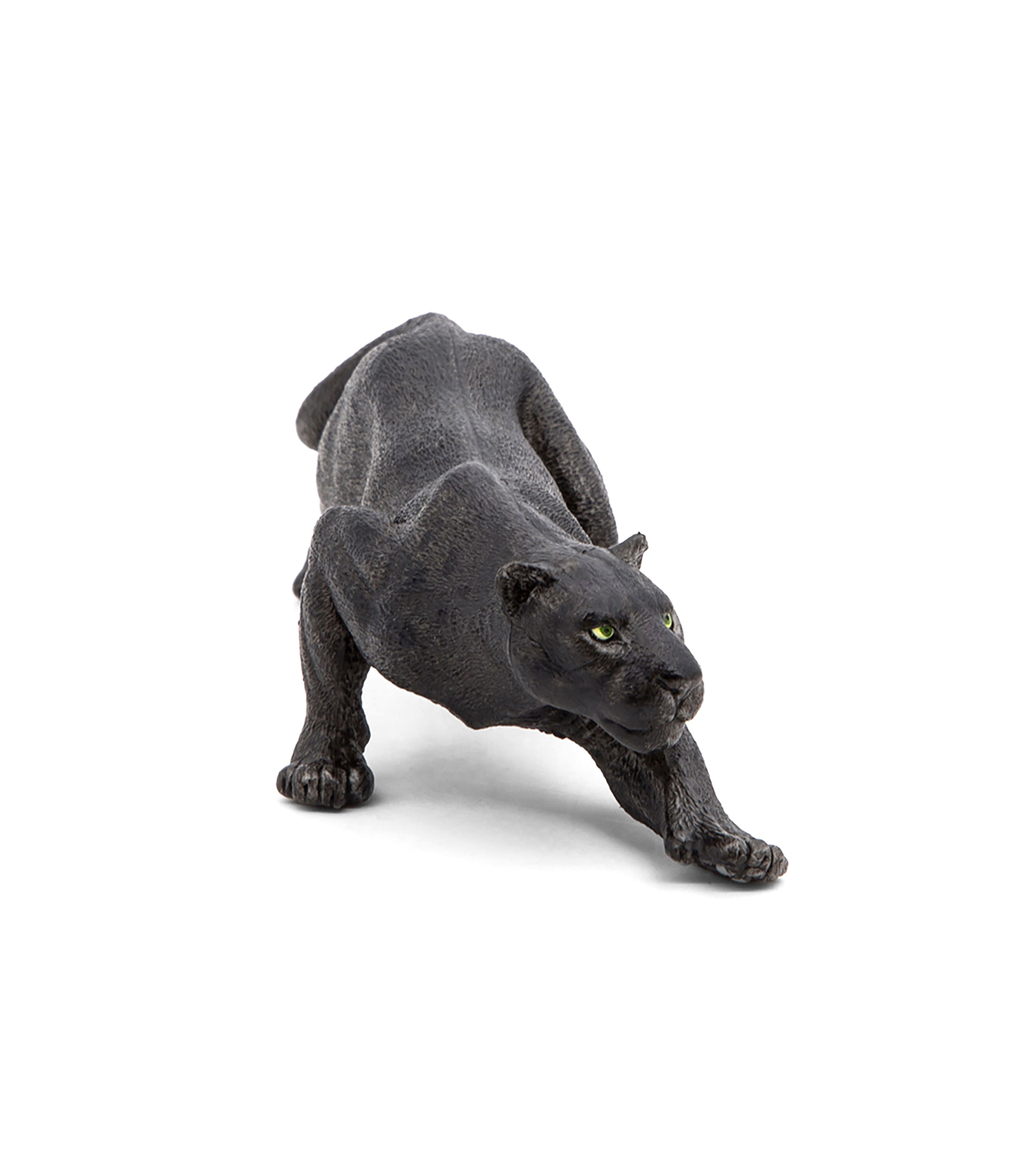 Pantera negra