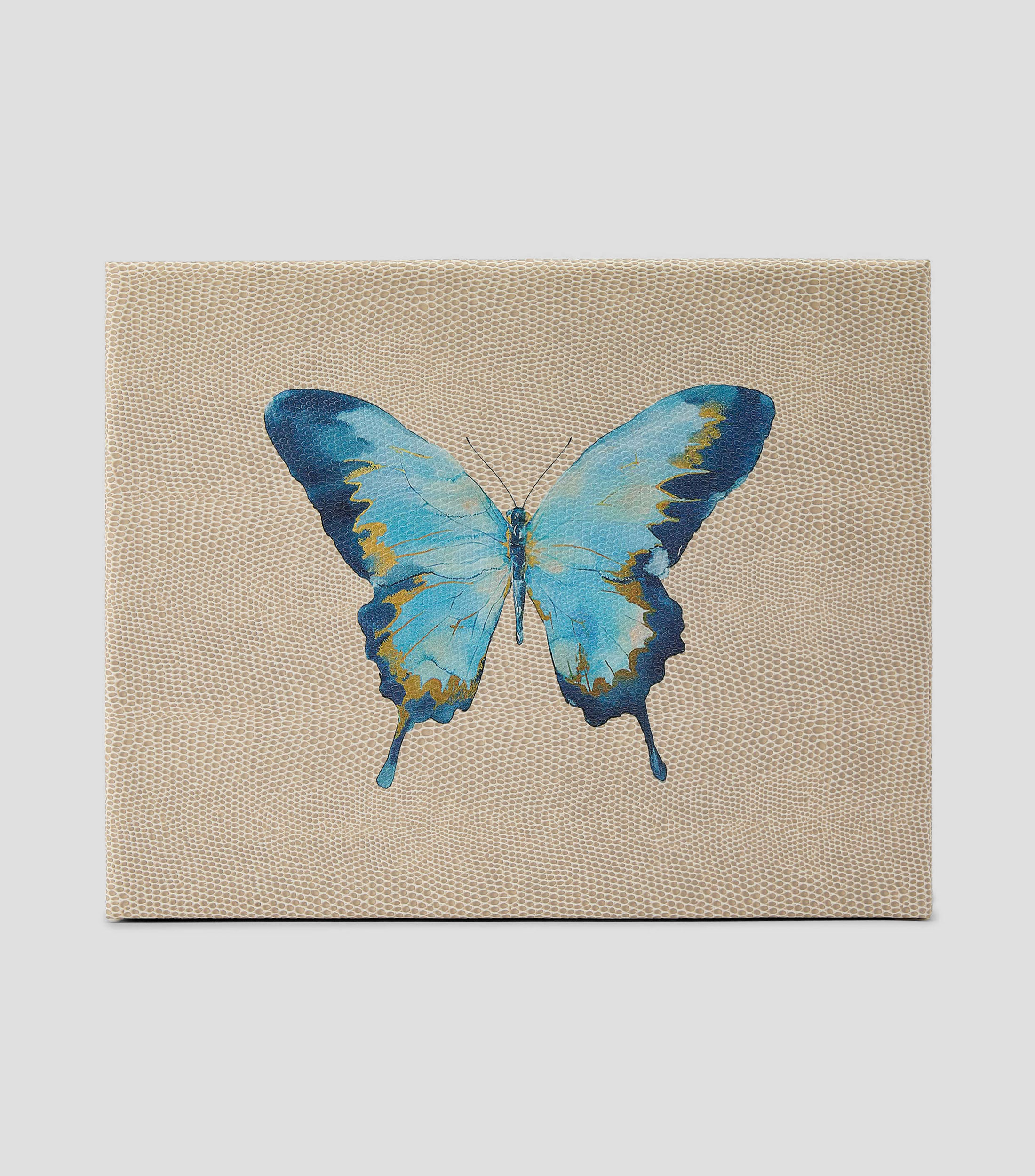 Caja Decorativa con Mariposa