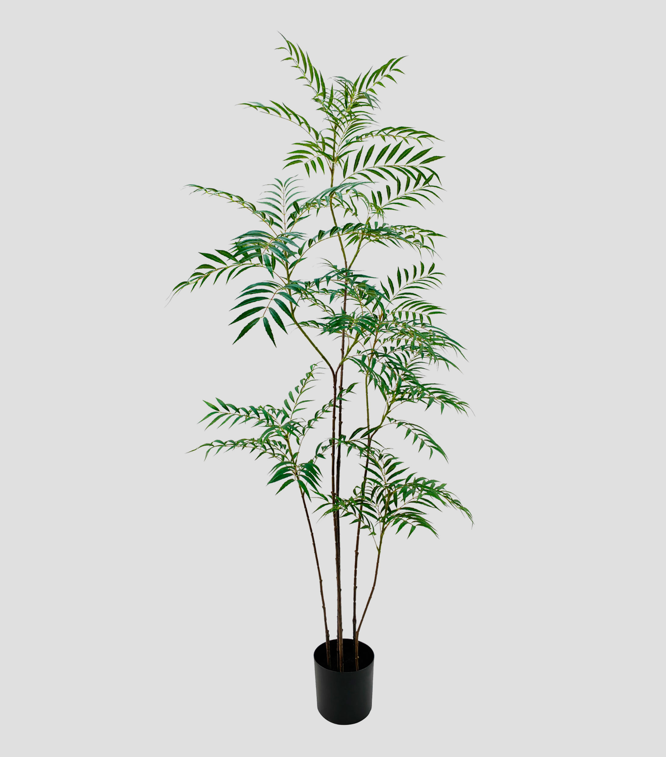Árbol Decorativo artificial Licualo
