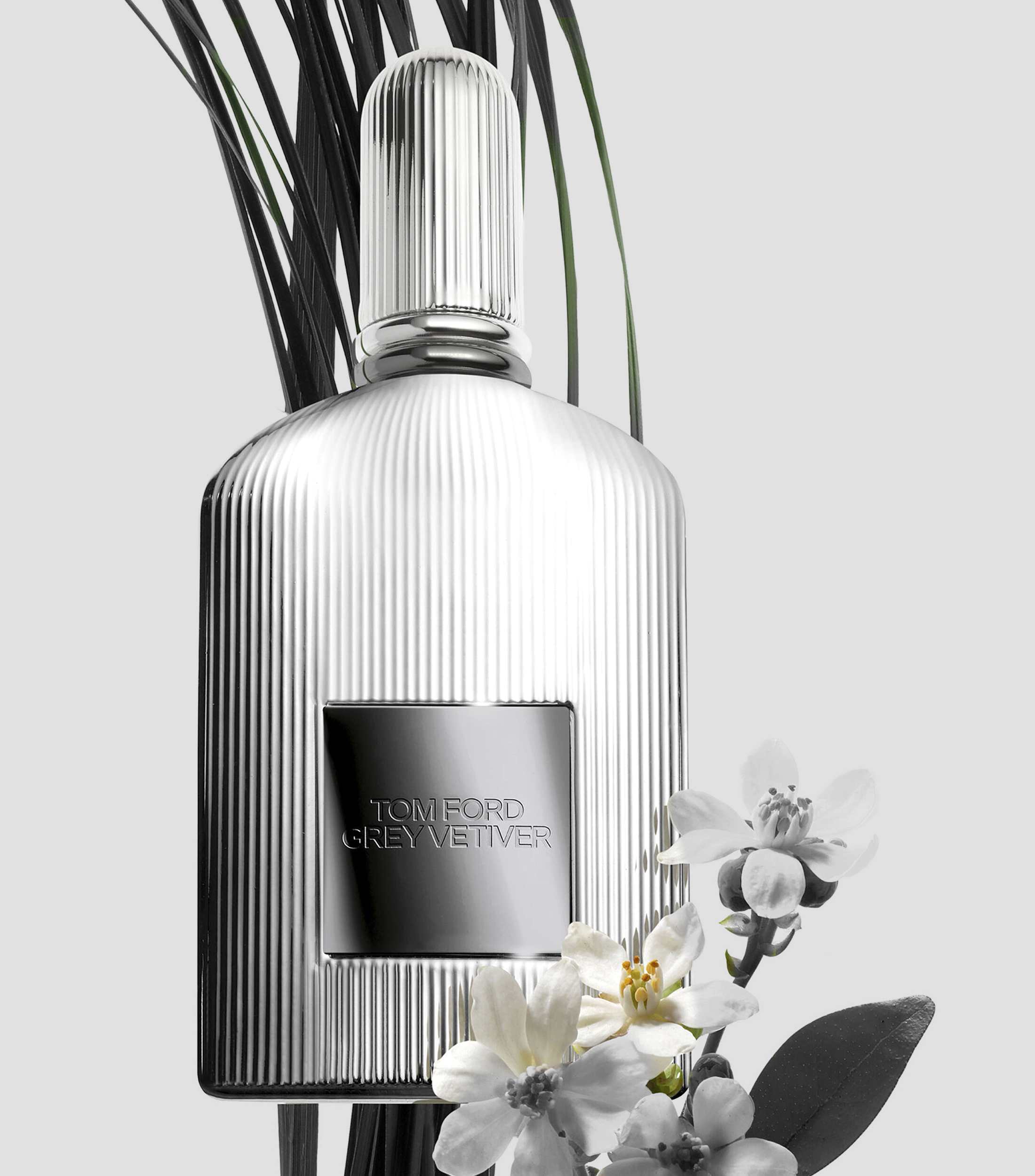 Perfume Grey Vetiver, Parfum 100 ml para Hombre