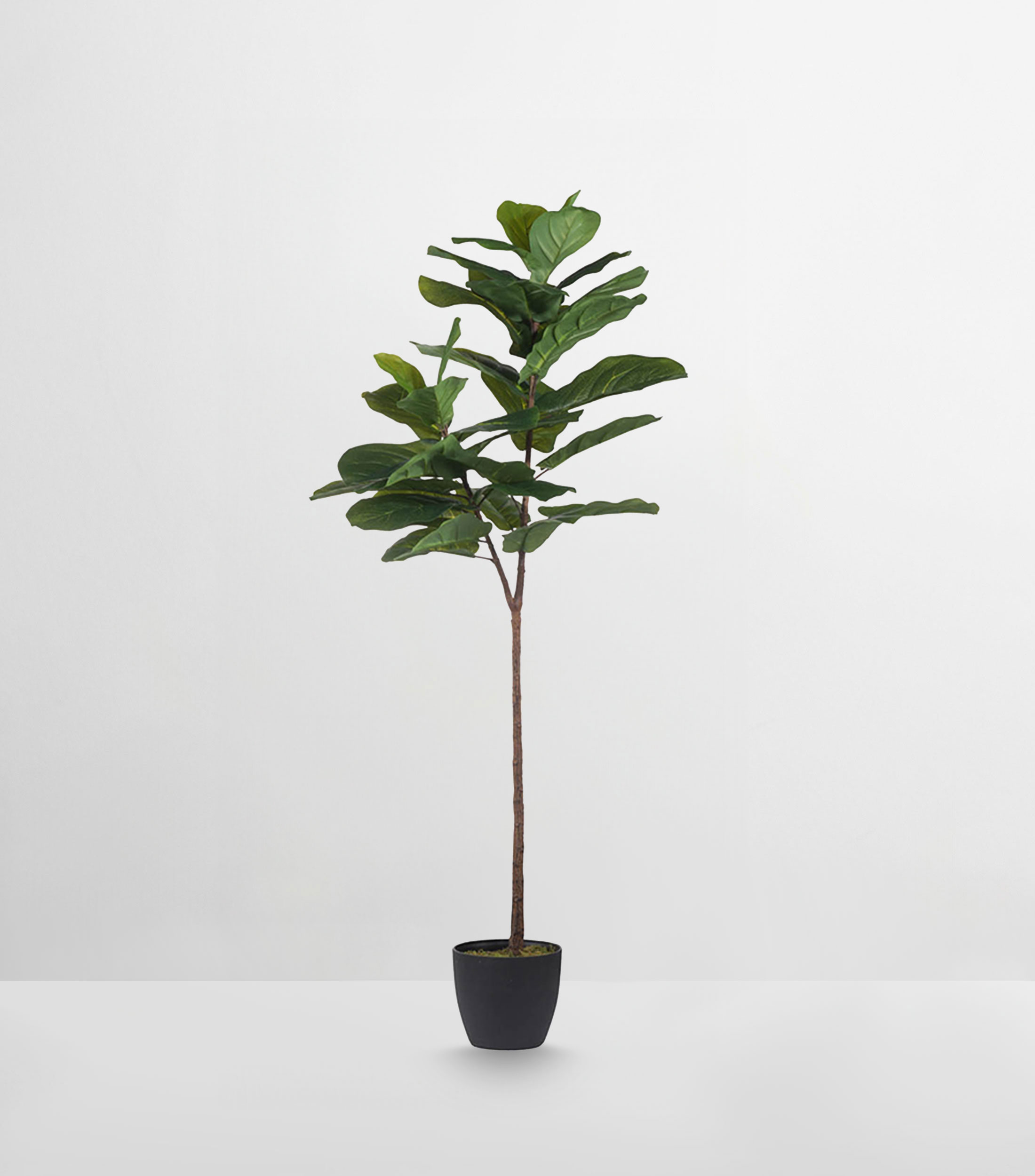 Árbol de Pandurata artificial