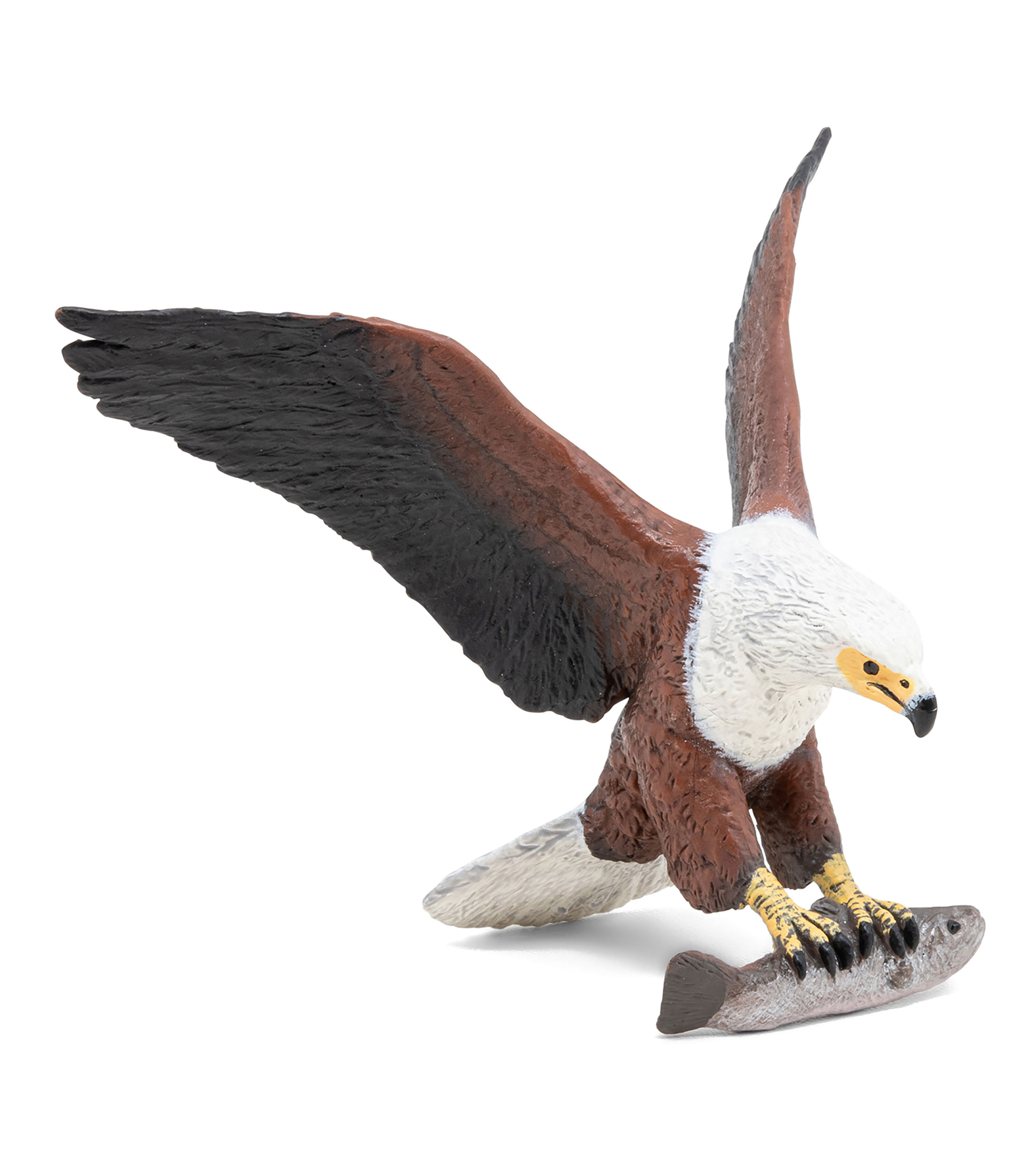 Figura Coleccionable Águila Pescadora Africana