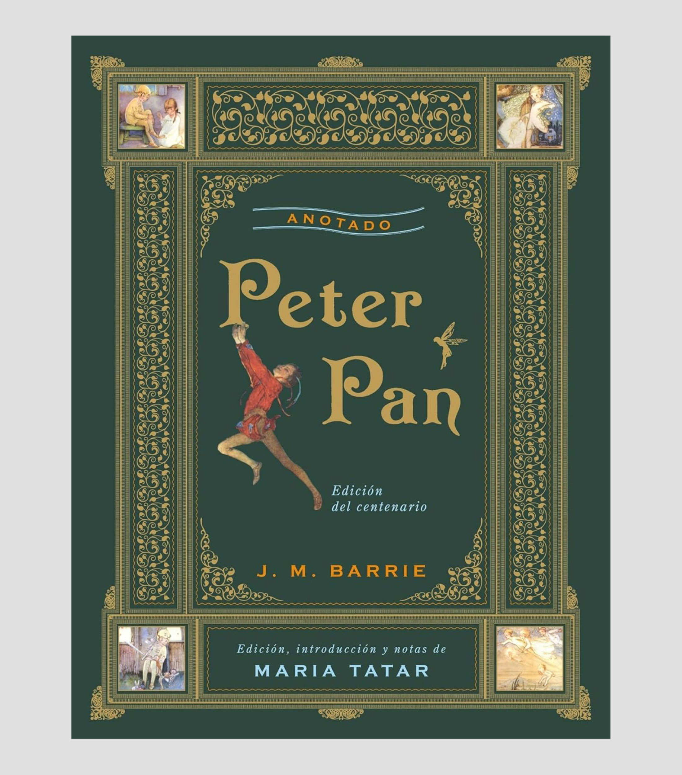 NovelaPeter Pan, J. M. Brrie