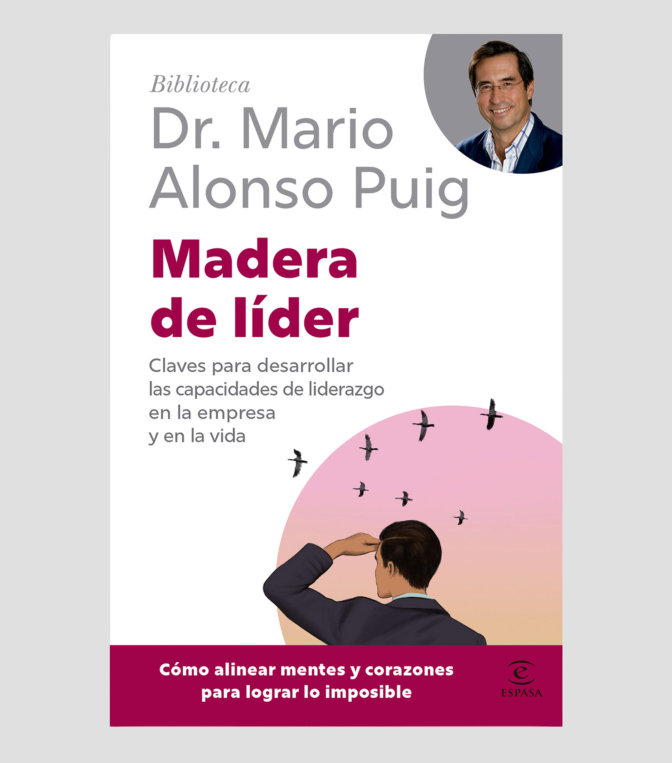 Interés GeneralMadera de líder, Mario Alonso Puig