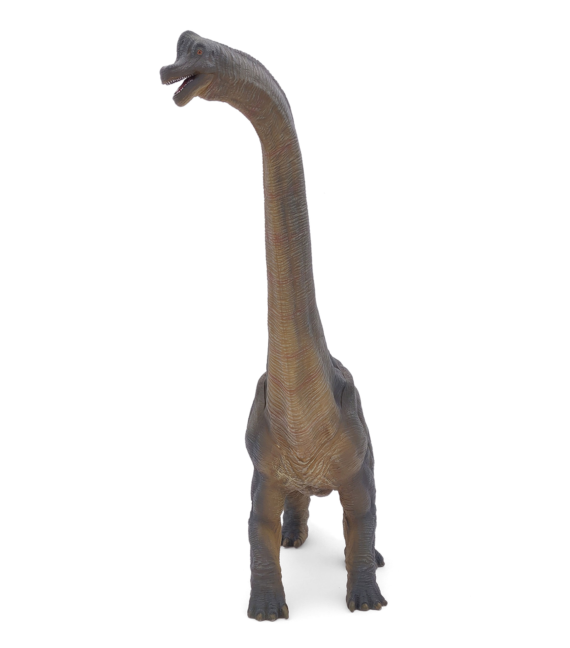Brachiosaurus