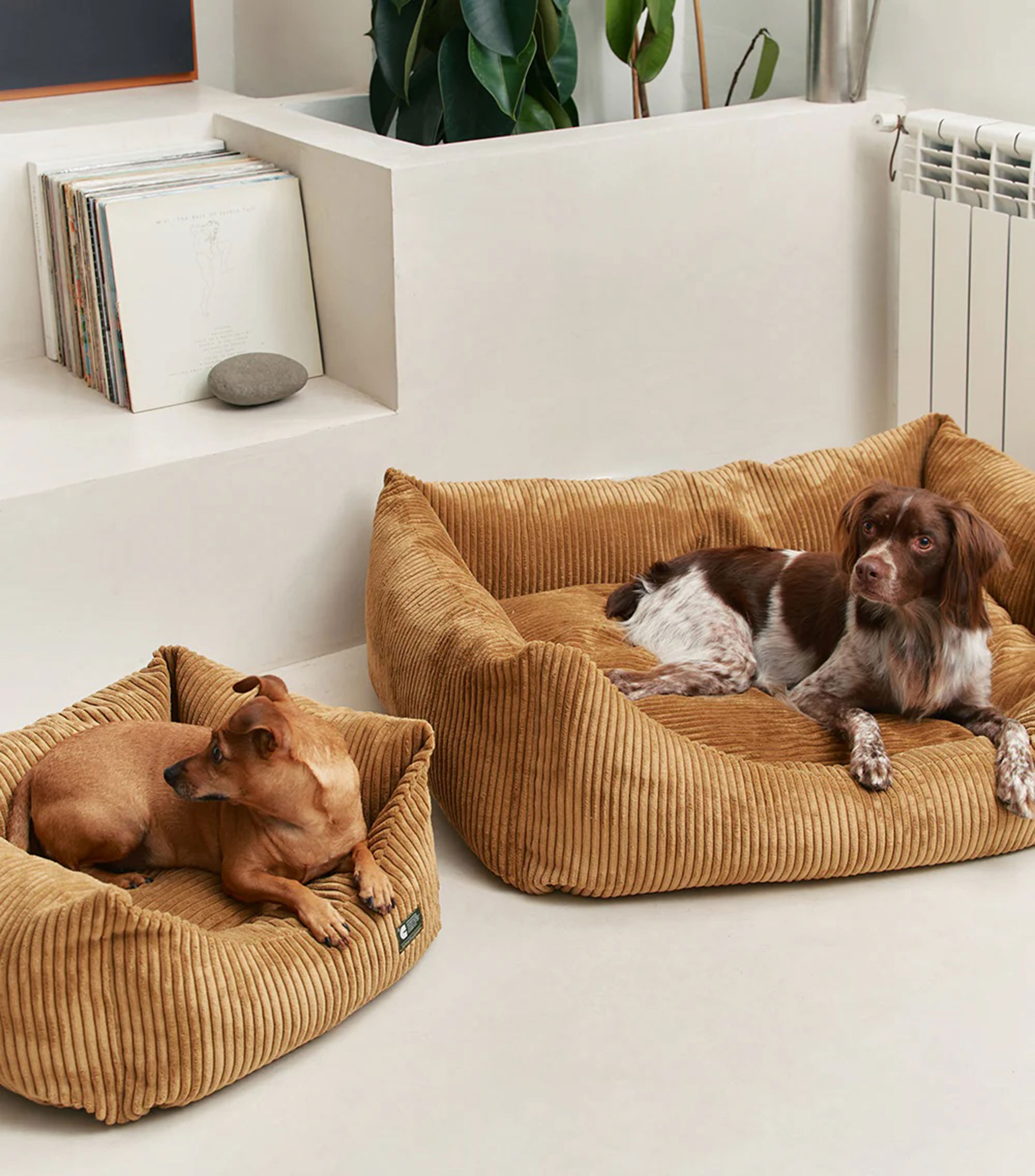 Cama para mascota M Snozy pana mostaza