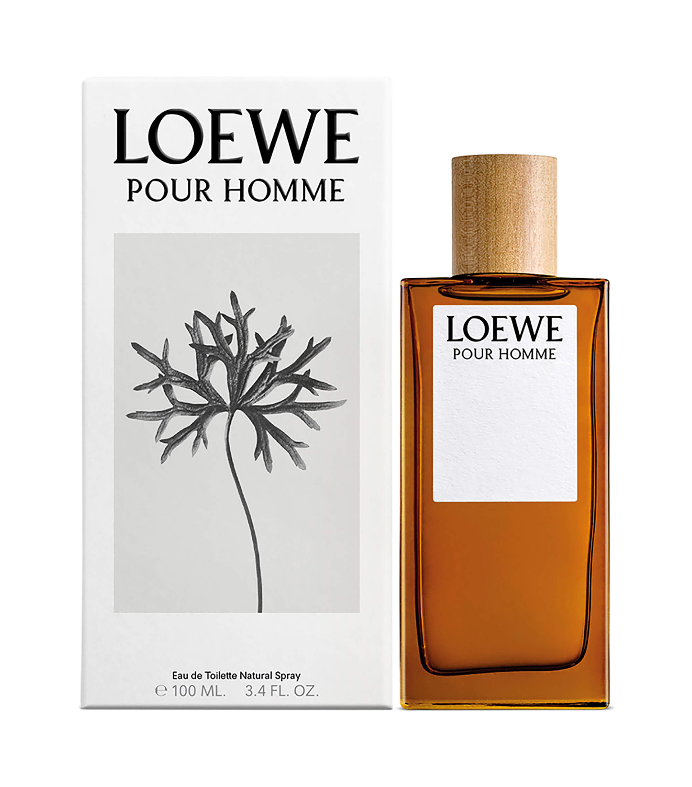LOEWE POUR HOMME EDT 100 ML