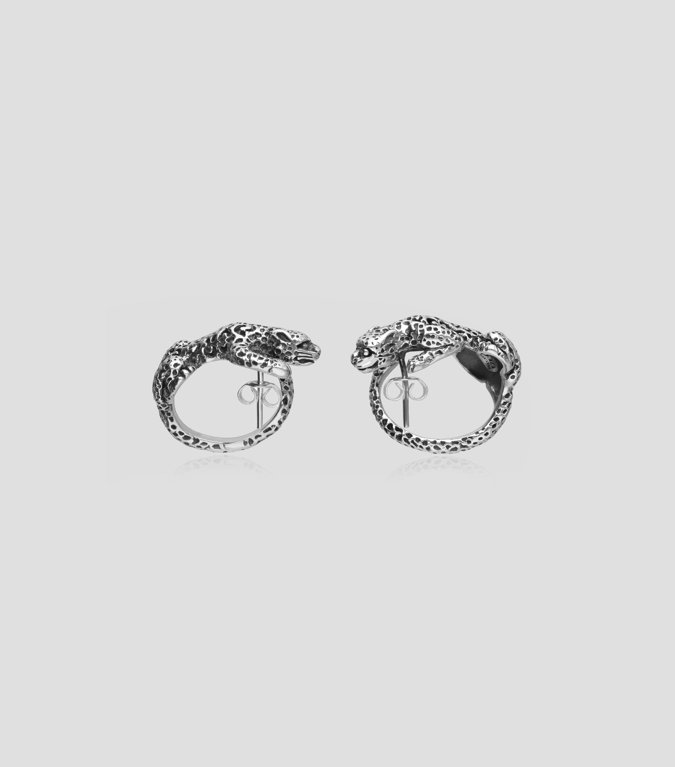 Aretes en plata Mujer