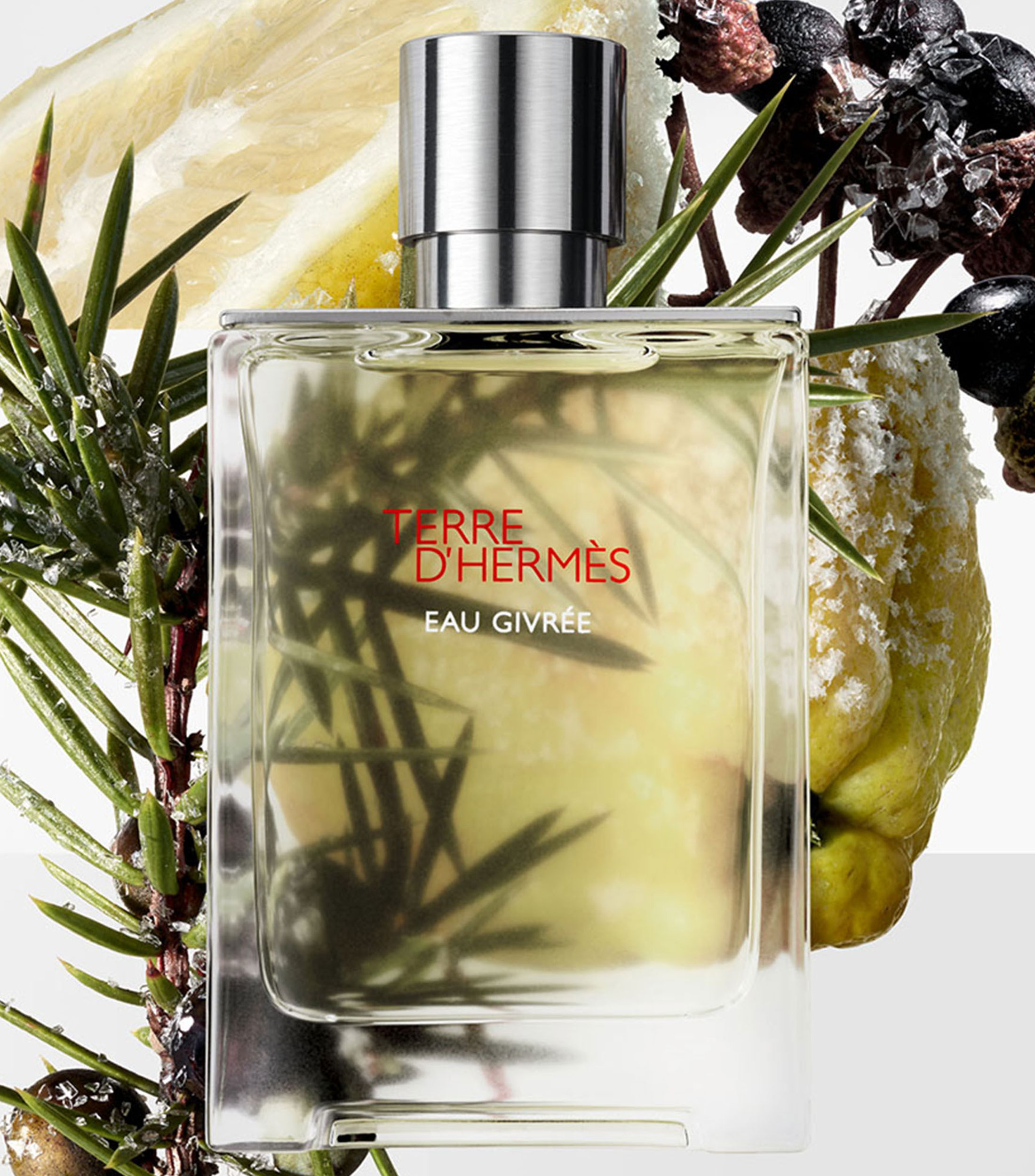 Perfume Terre daposHermes Eau Givree, Eau de Parfum 175 ml para Hombre