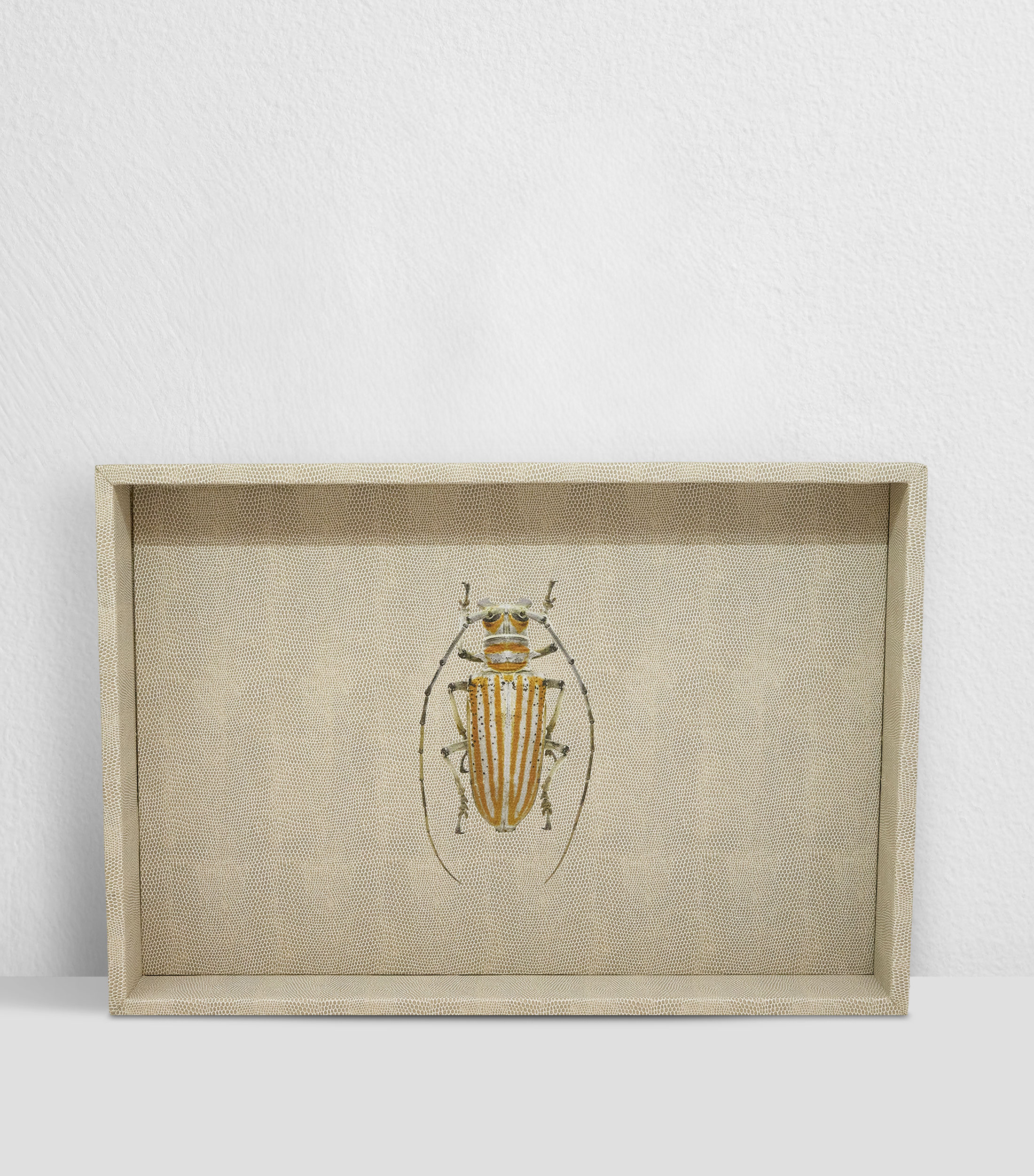 Charola decorativa fantasía