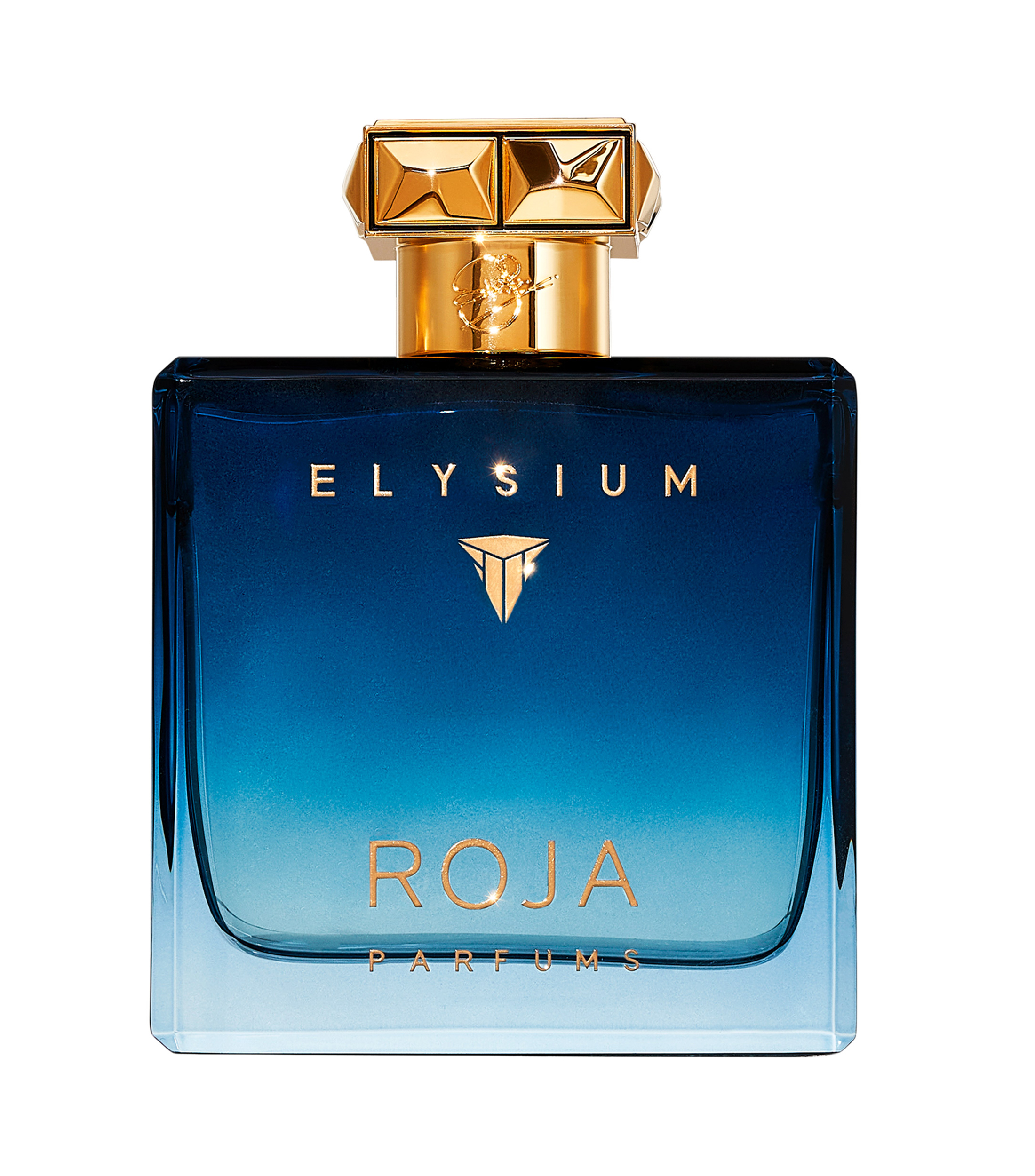 ROJ ELYSIUM POUR HOMME EDP 100ML