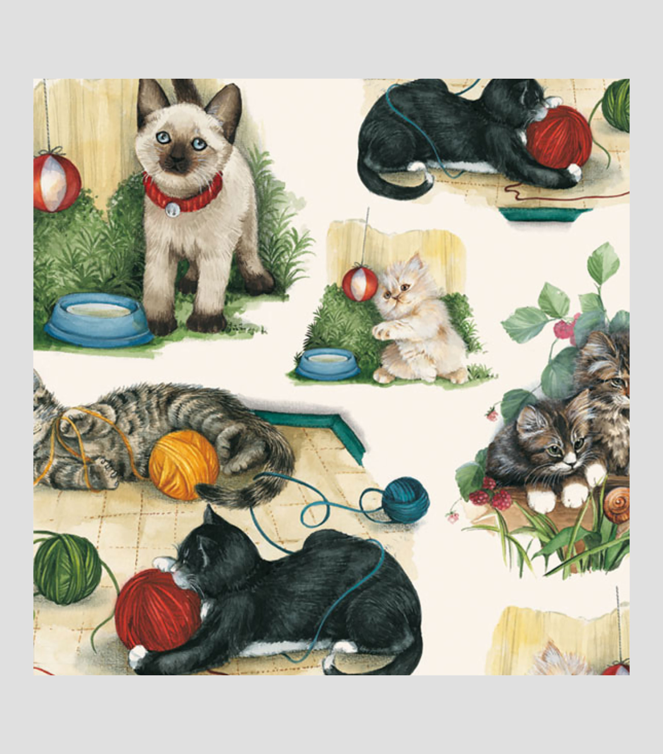 Pliego de papel Tassotti Gatitos 50 x 70 cm