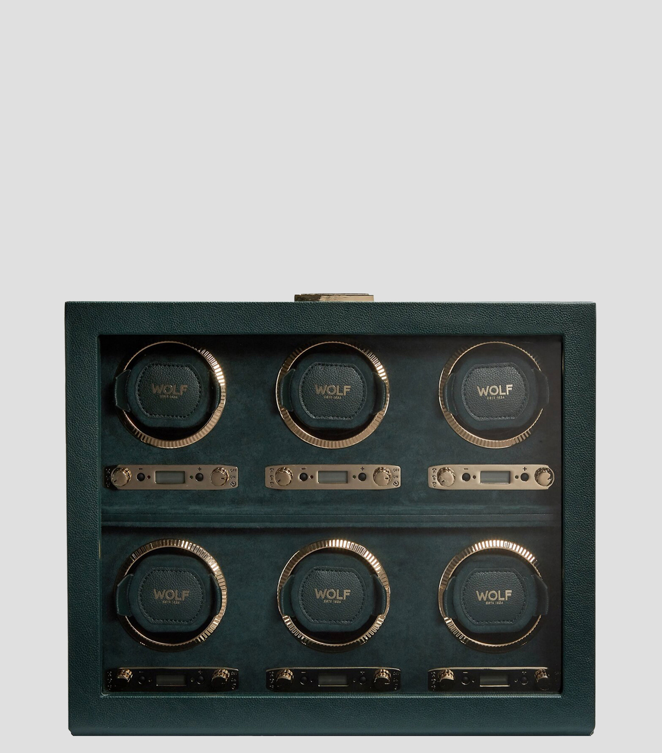 British Racing Watch Winder Green para 6 Piezas