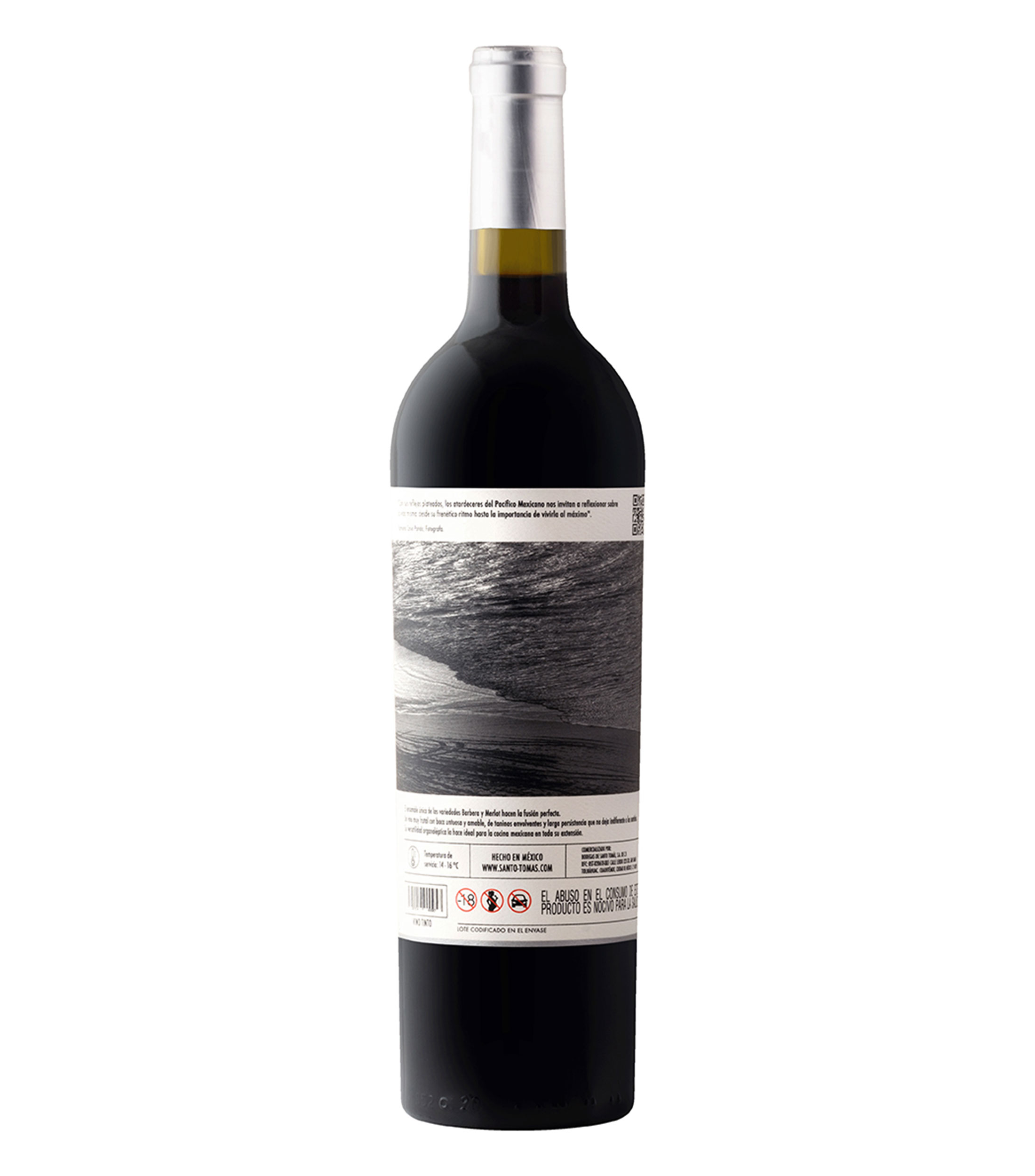 Vino Tinto Barbera, Merlot del Valle de Santo Tomás, 750 ml