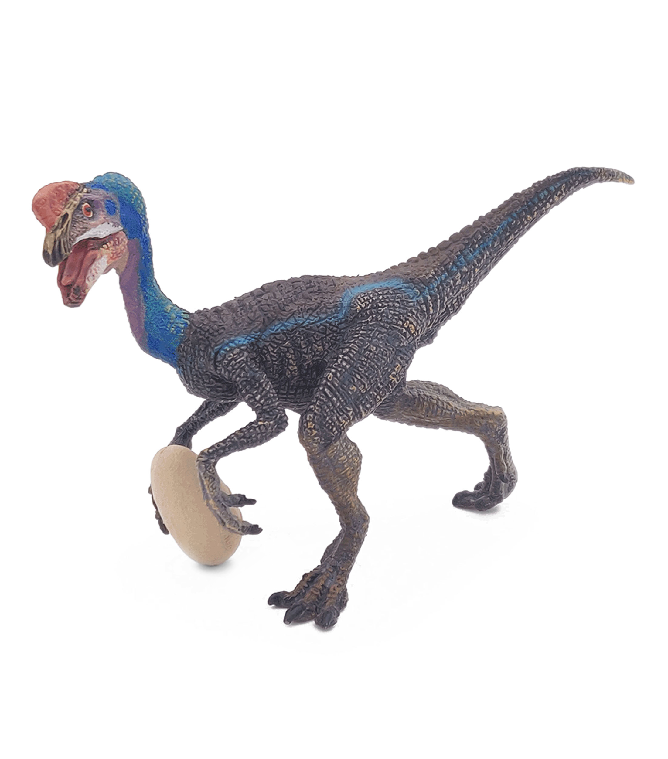 Oviraptor azul