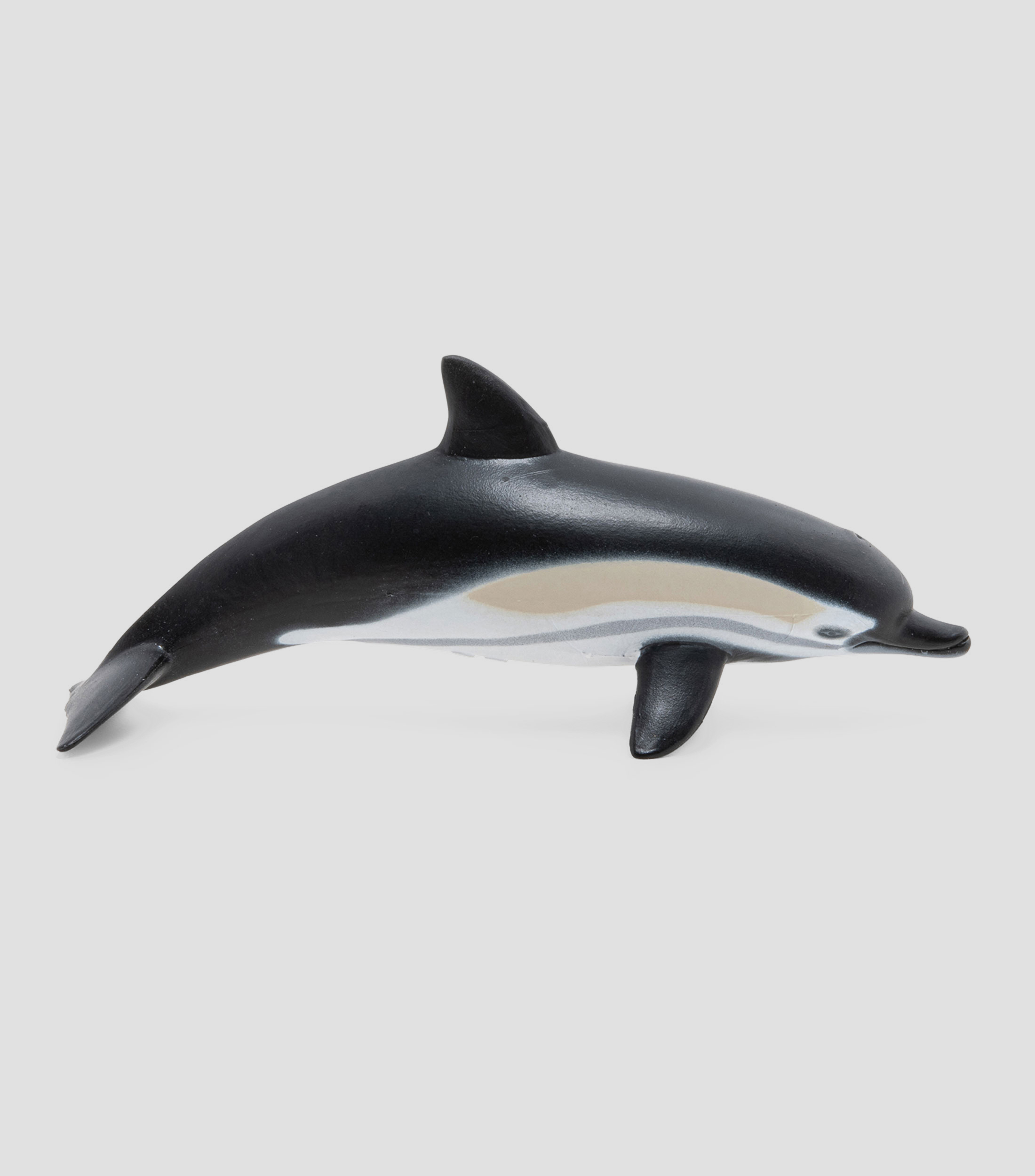 Delfin comun