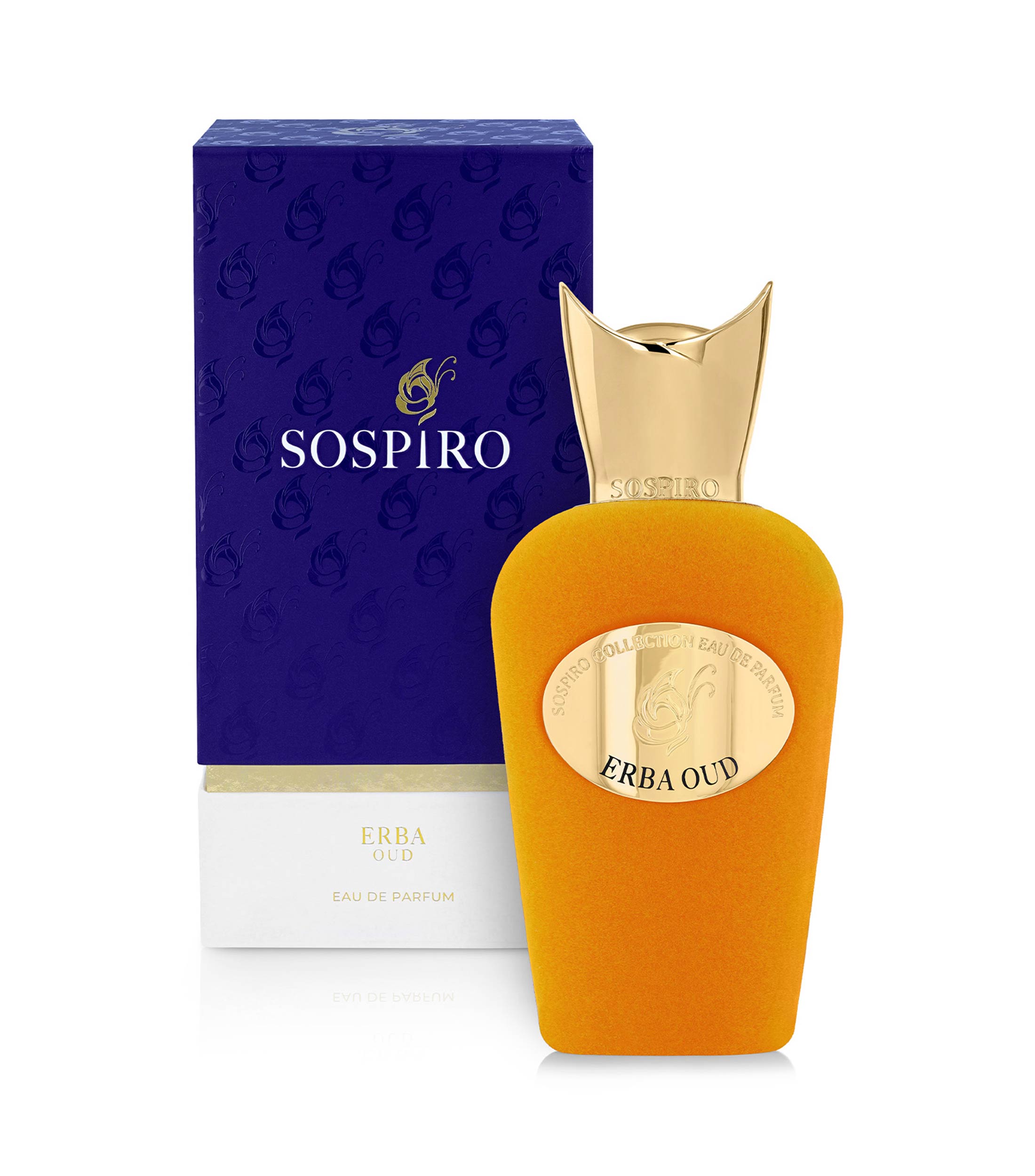 Perfume Erba Oud, Eau De Parfum 100 ml Unisex