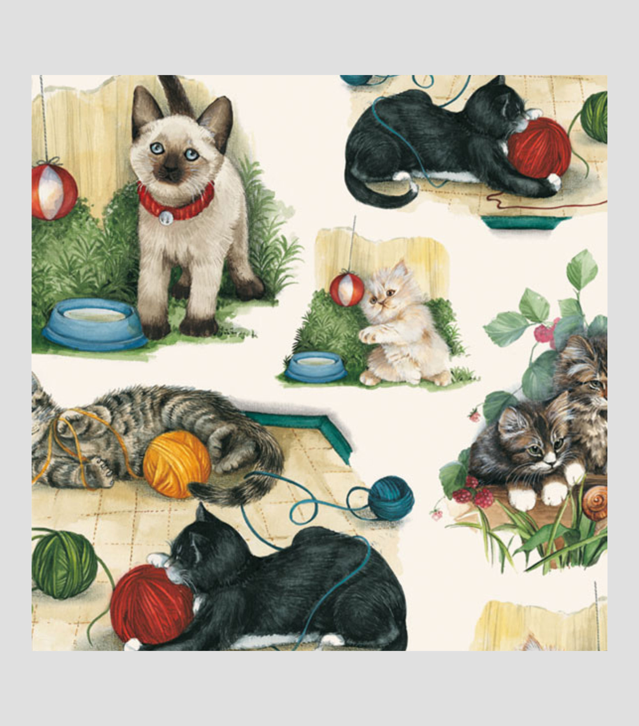 Pliego de Papel Gatitos 70 x 100 cm