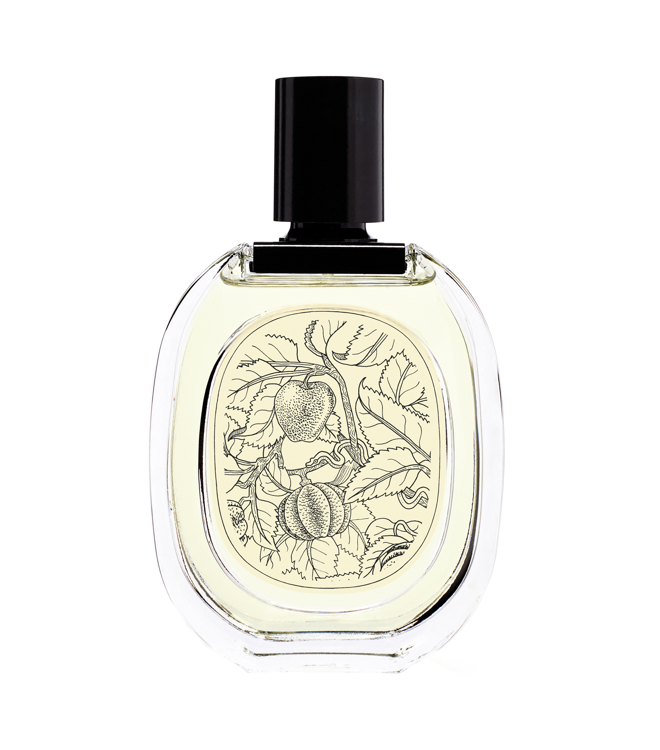 Perfume, L'Eau des Hespérides Eau de Toilette, 100 ml Unisex