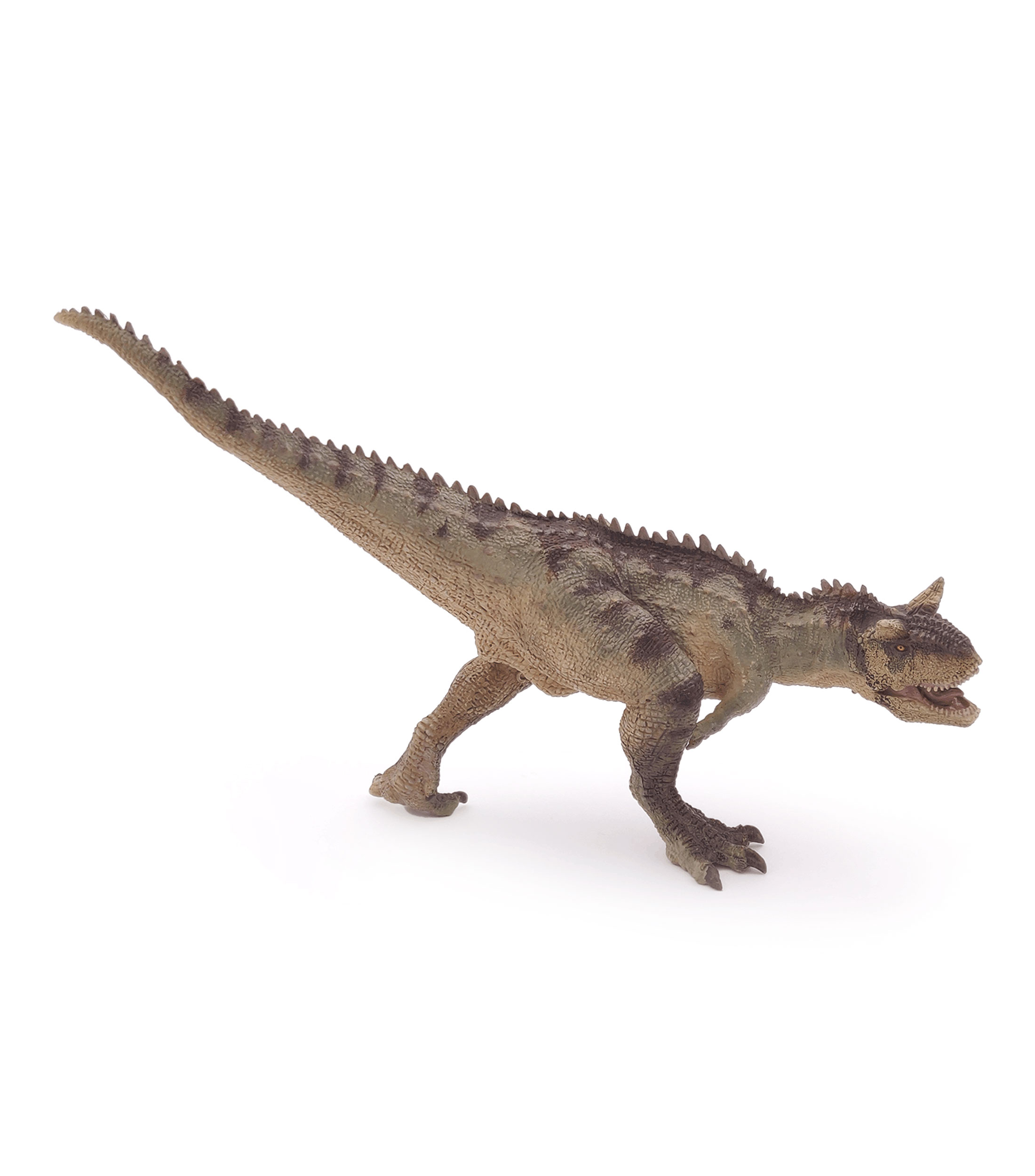 Carnotaurus