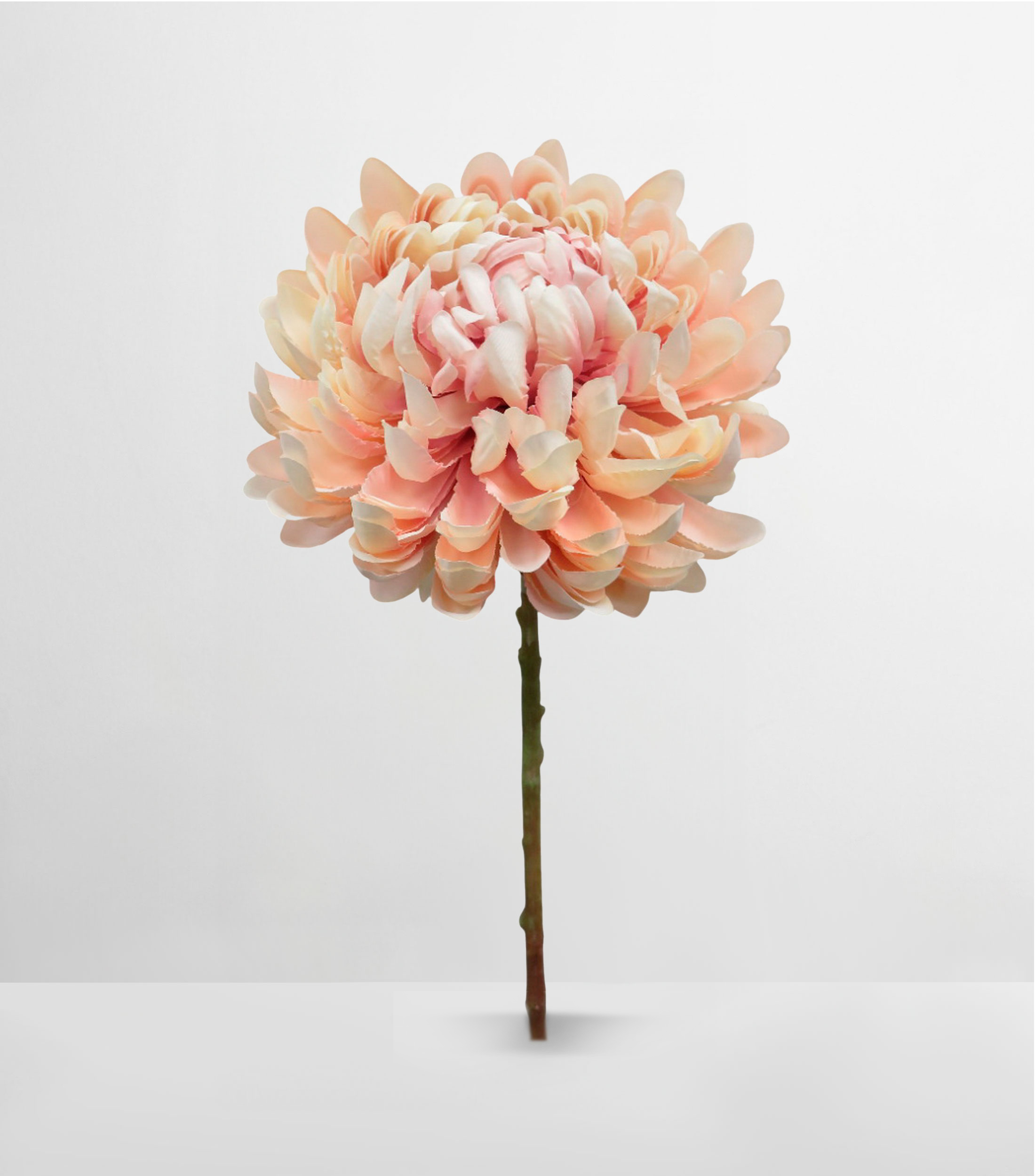 Flor Crisantemo decorativa Ivory Rosa, Artificial