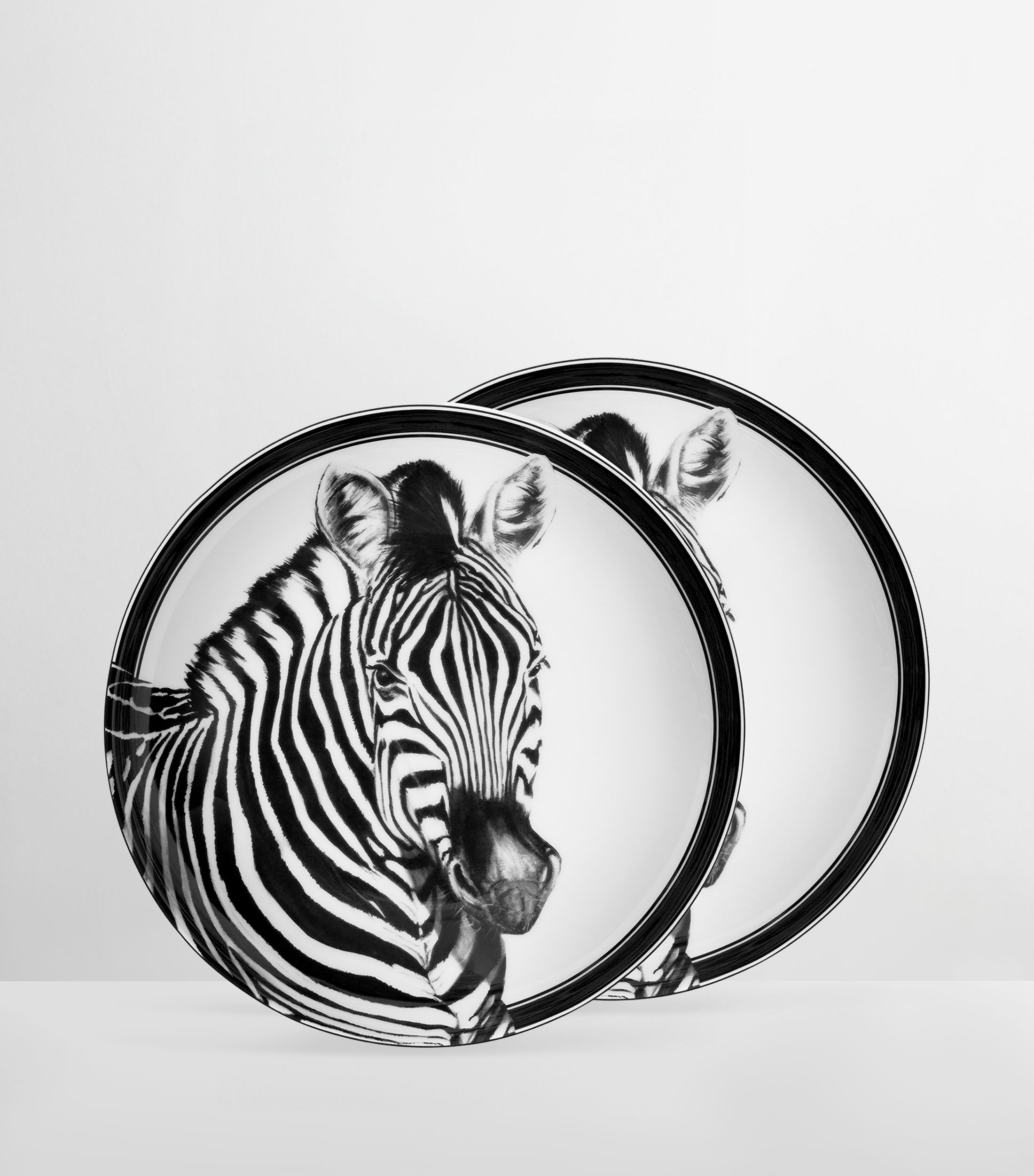 Set 2 platos para sopa Zebra en porcelana estampado