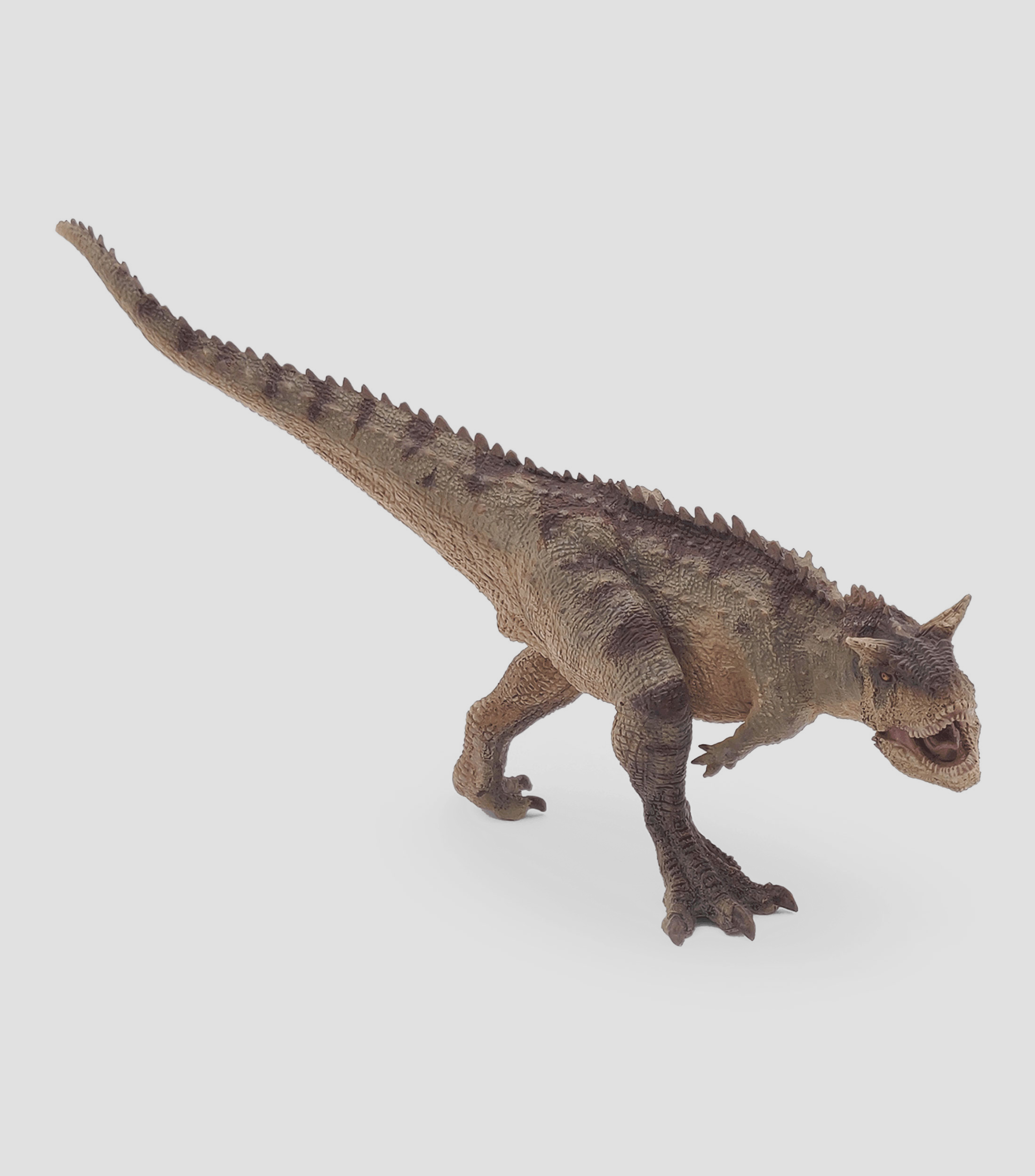 Carnotaurus