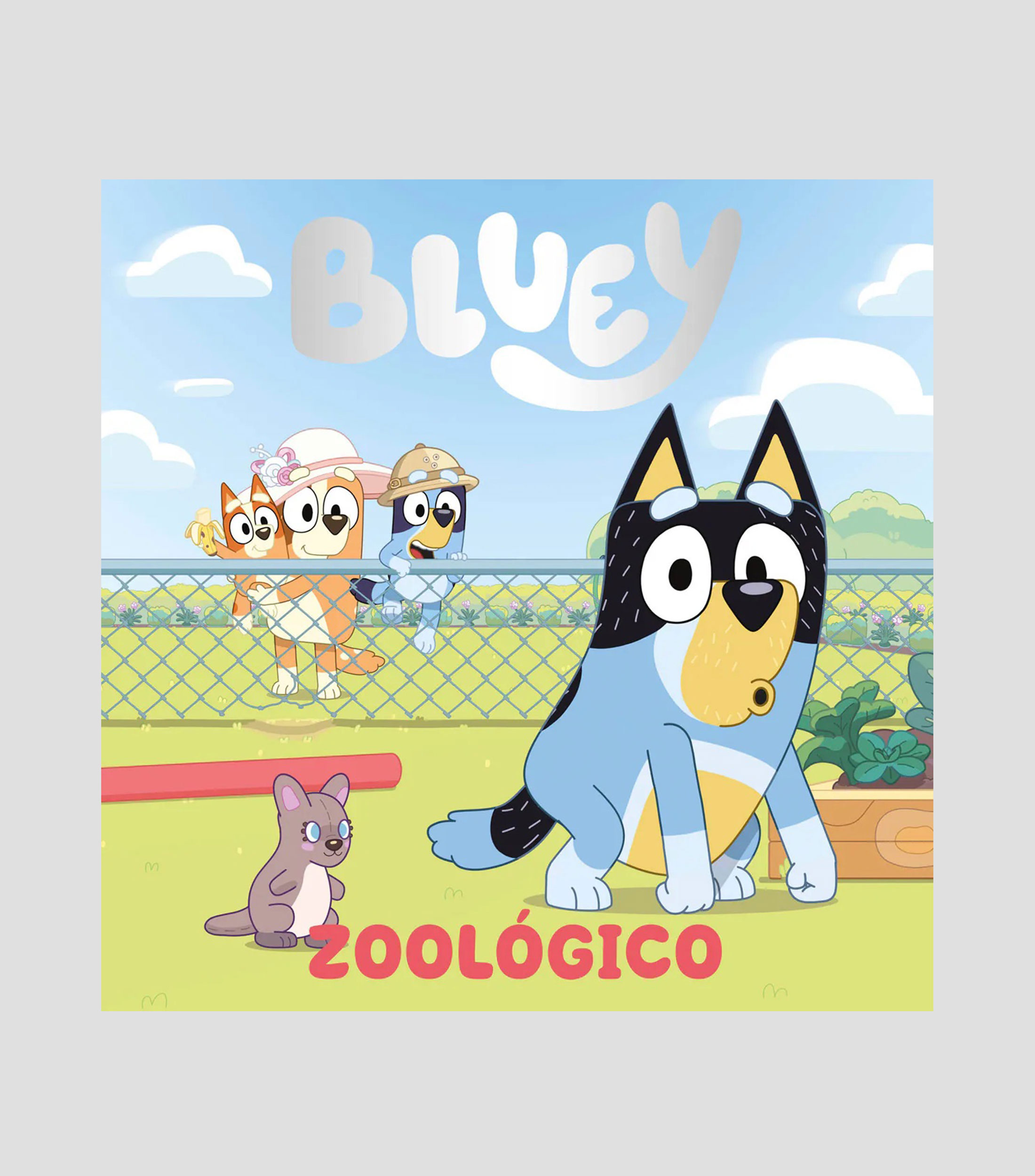 InfantilesBluey: Un cuento - Zoológico, Ladybird Books