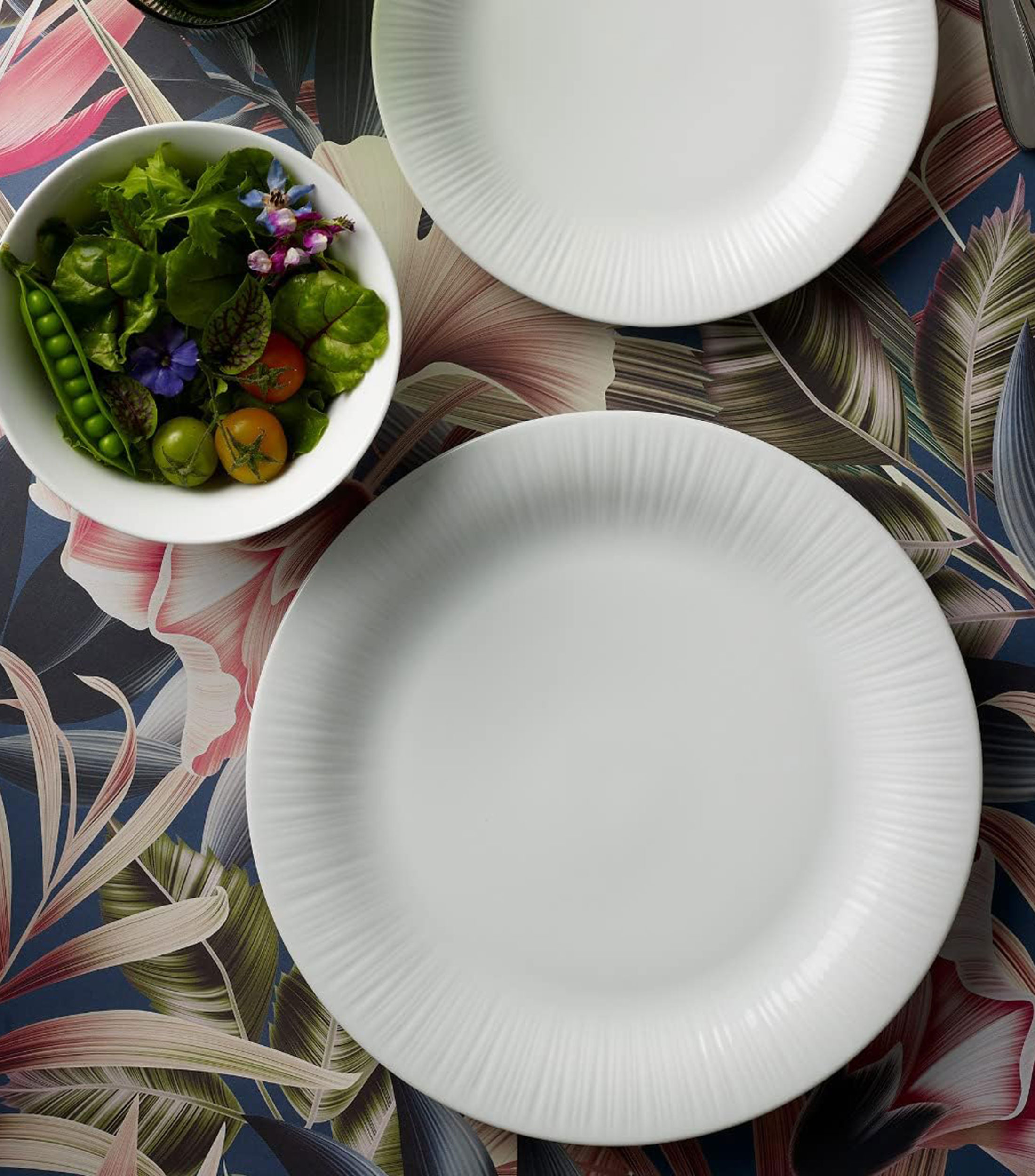 Plato base Conifere
