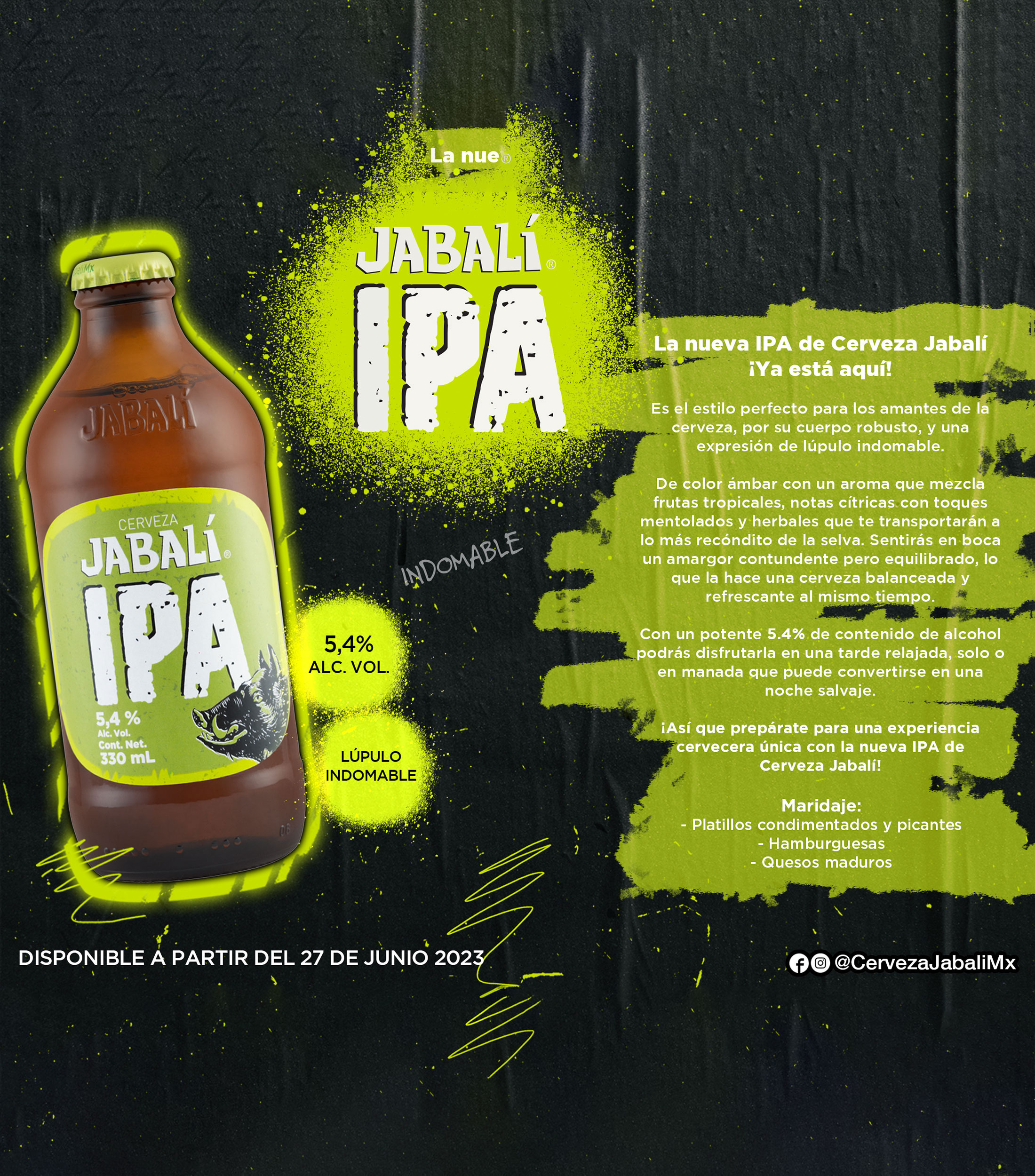 Cerveza artesanal Jabali IPA, 330 ml