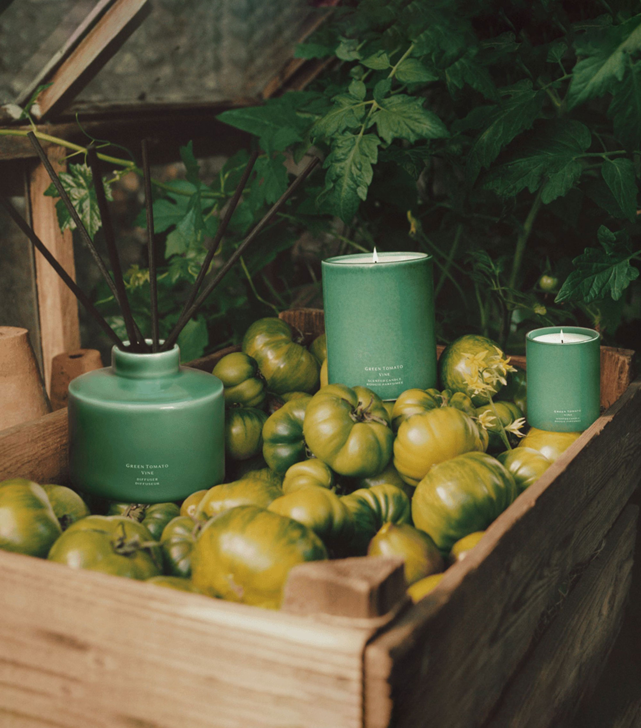 Vela aromática Green Tomate Vine