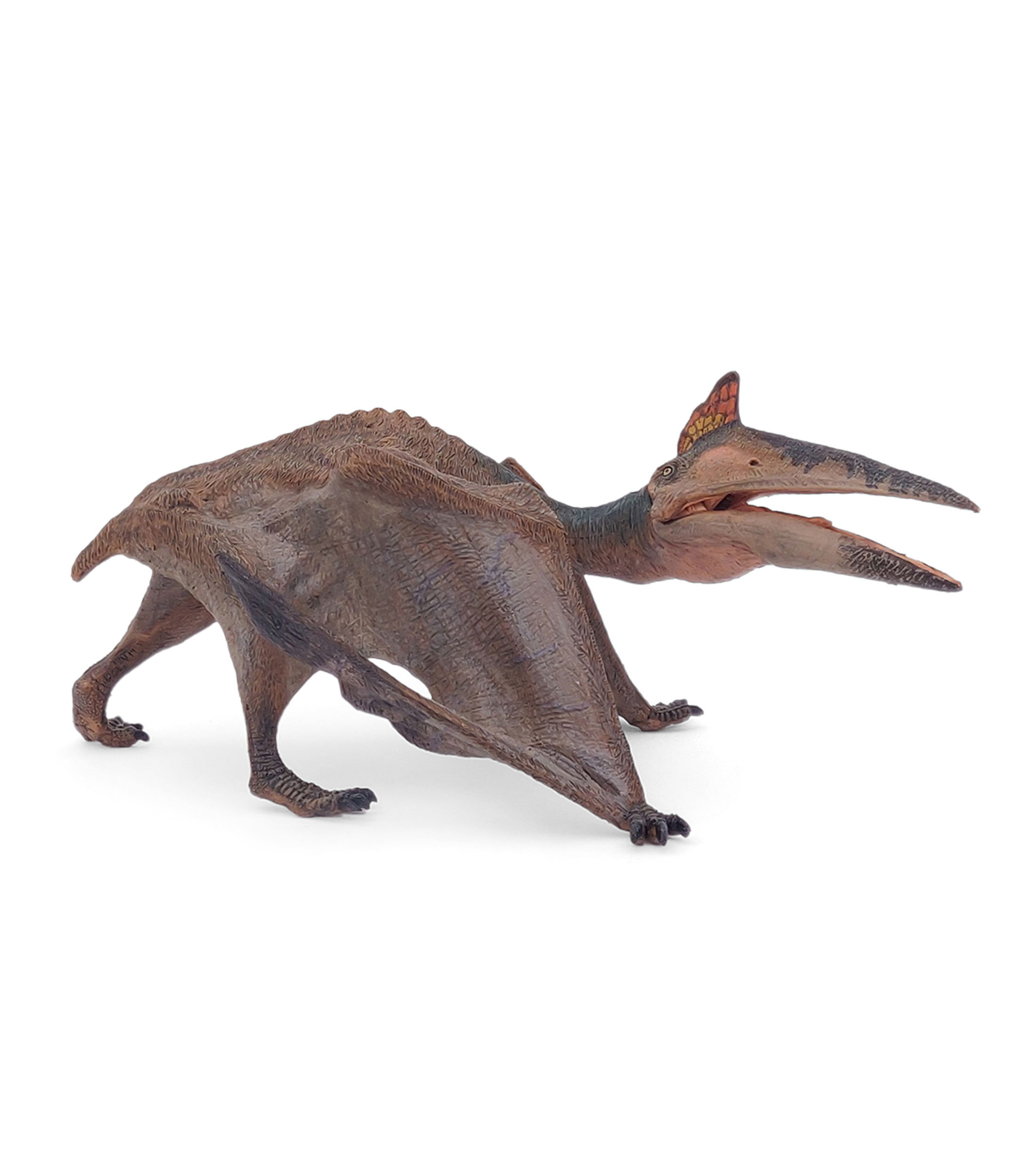 Quetzalcoatlus