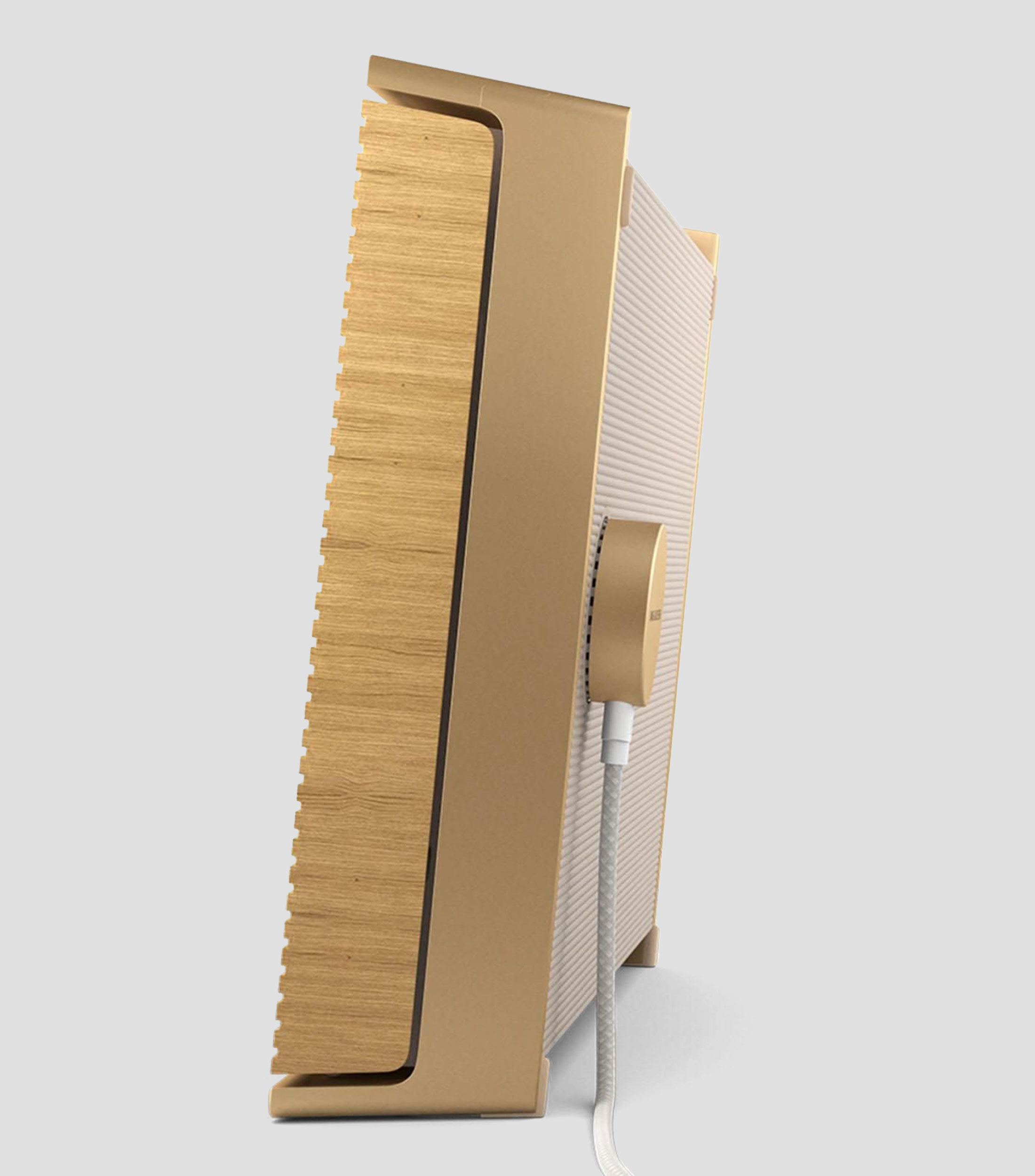 Bocina Portátil Inalámbrica Bluetooth Beosound Level