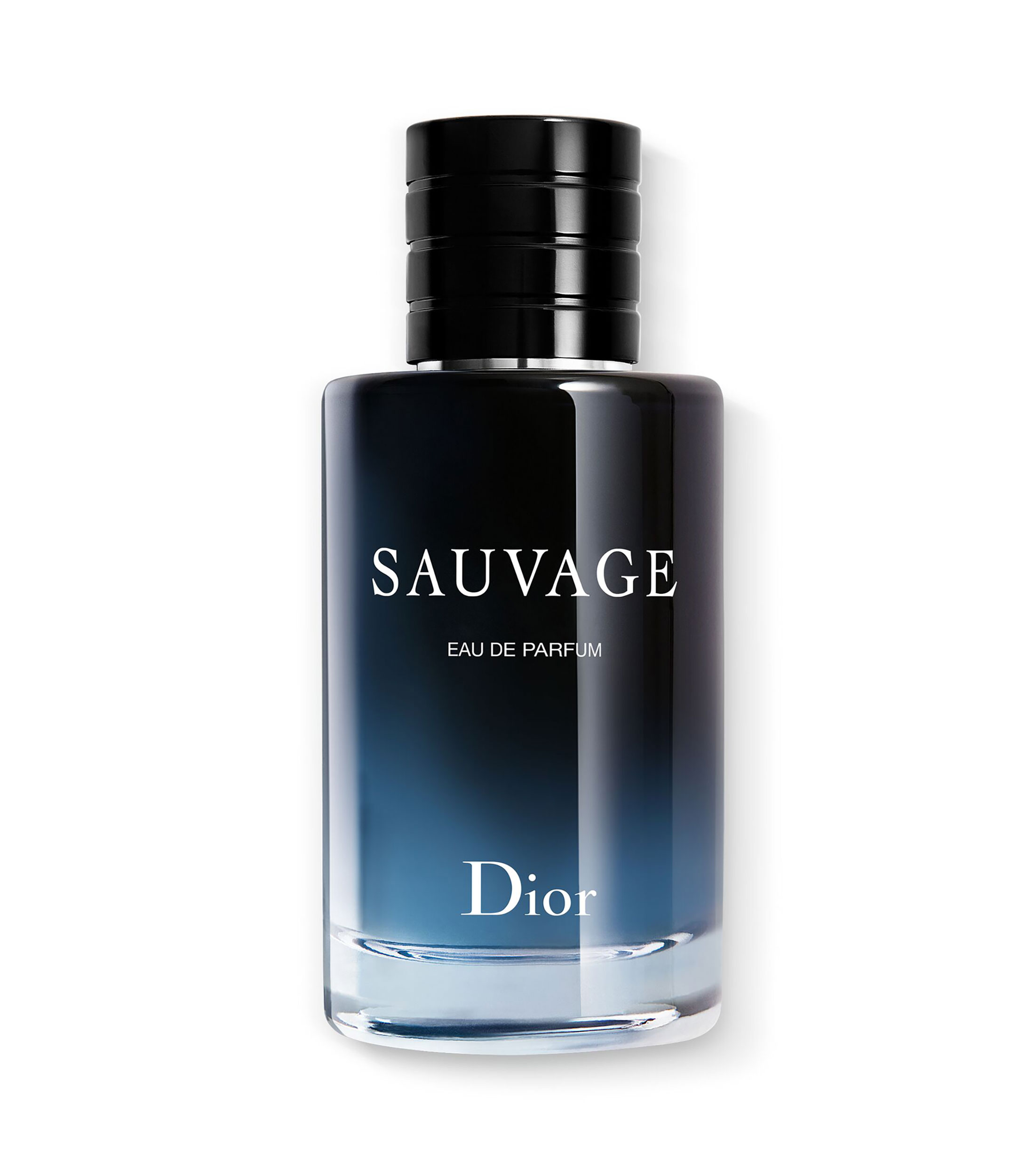 SAUVAGE, EAU DE PARFUM, 100 ML
