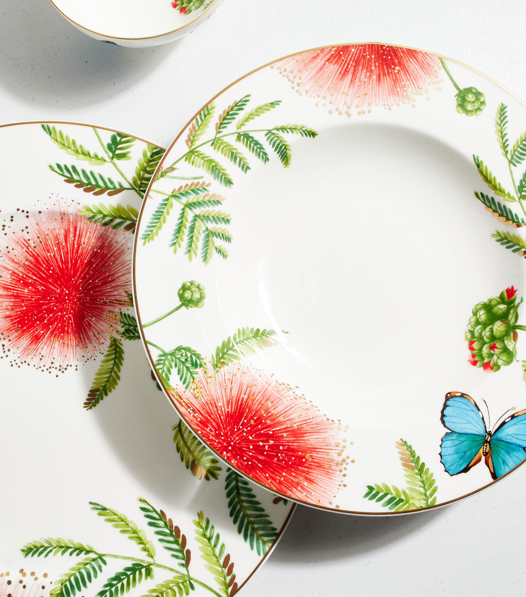 Plato hondo Amazonia Anmut en porcelana