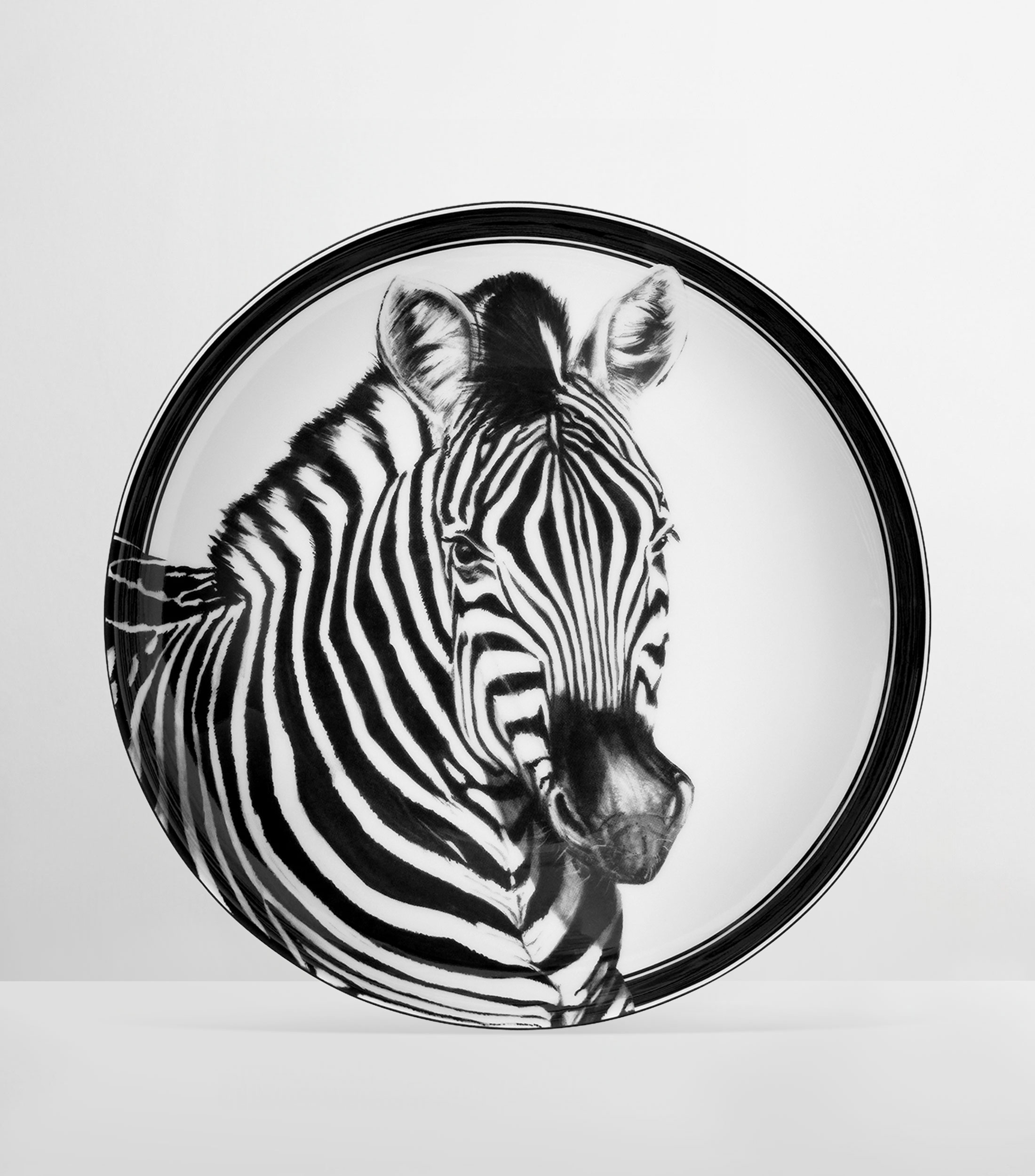 Set 2 platos para sopa Zebra en porcelana estampado