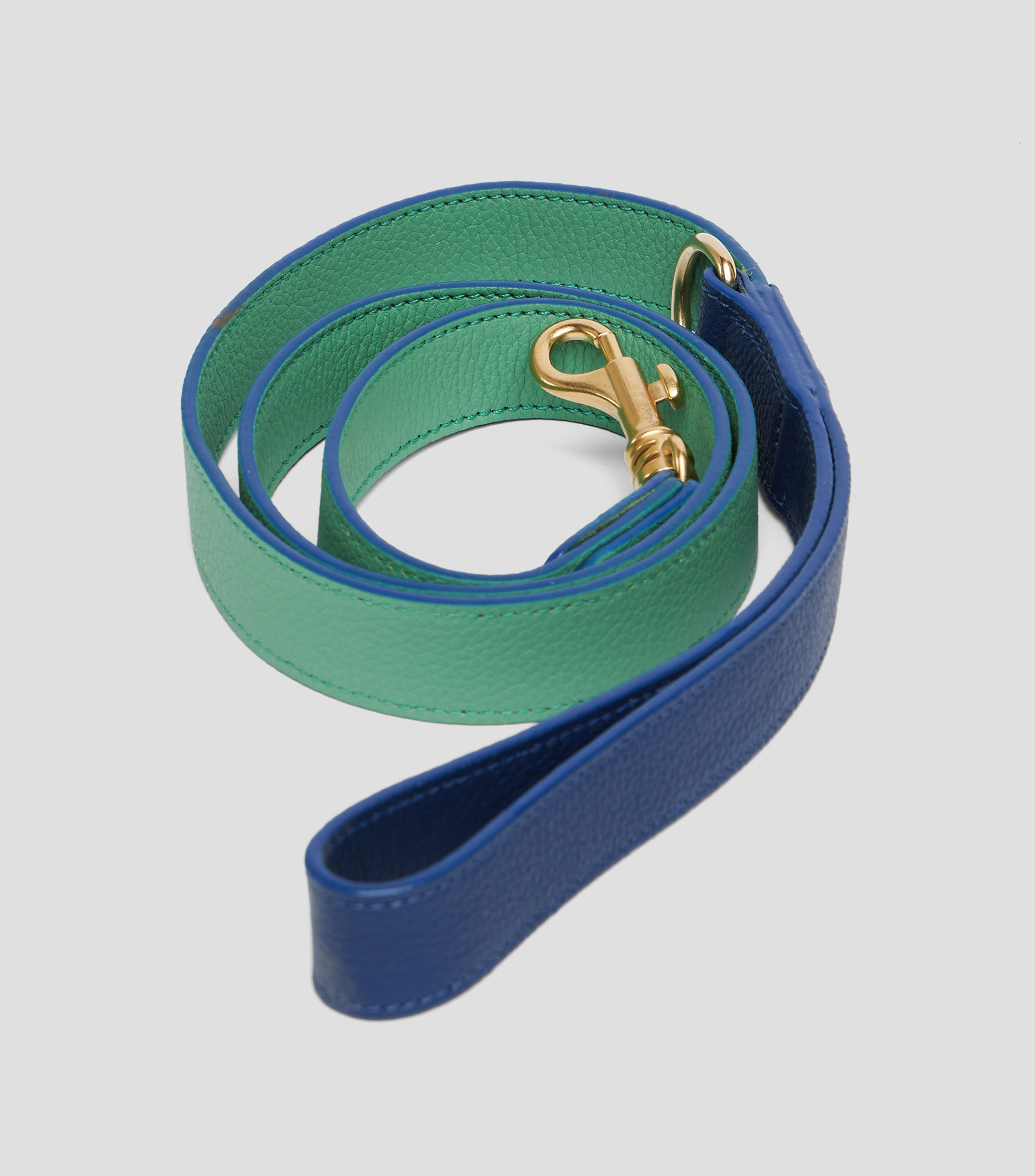 Correa para perro Verde