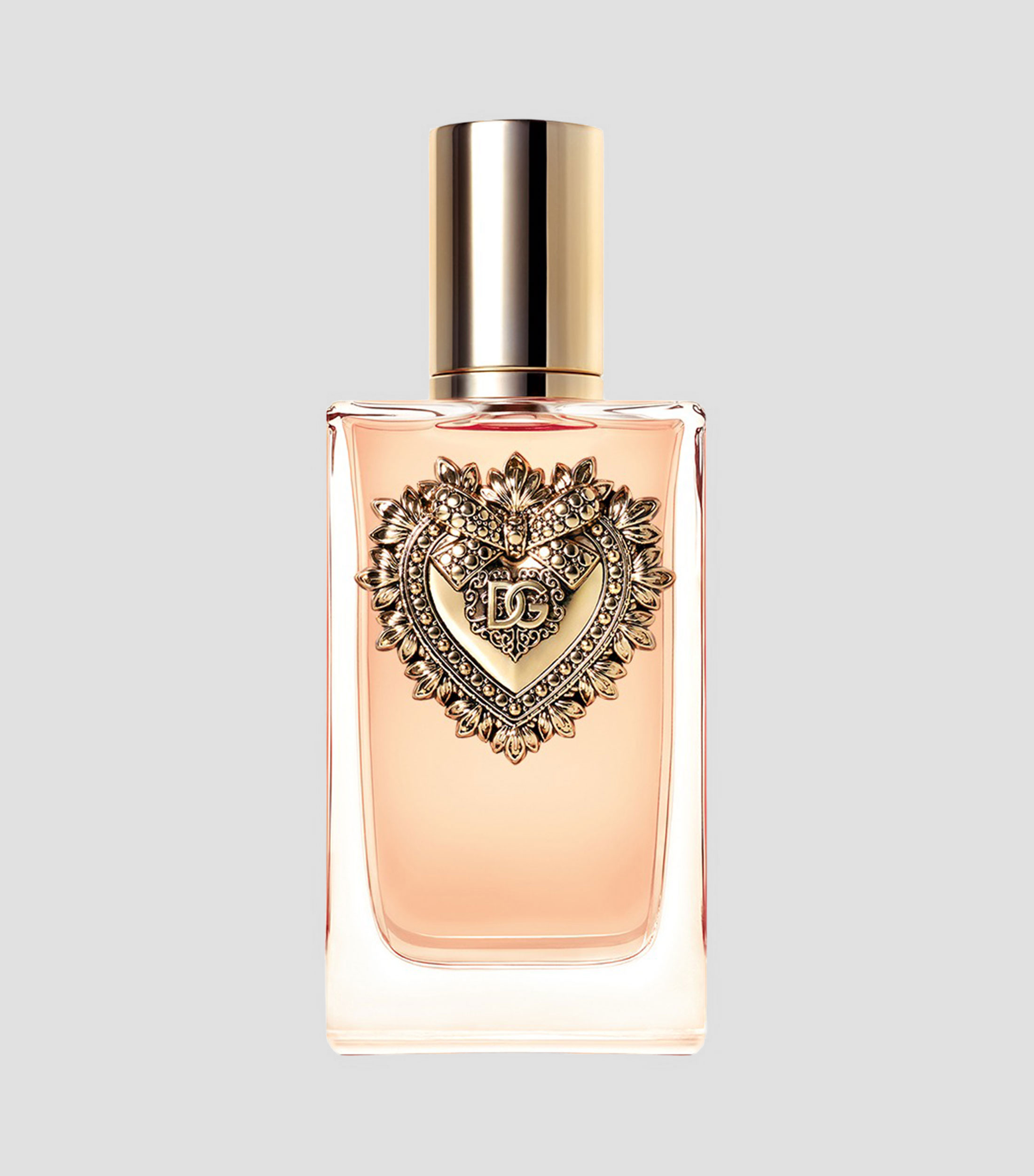 Dg Devotion Edp 100 Ml