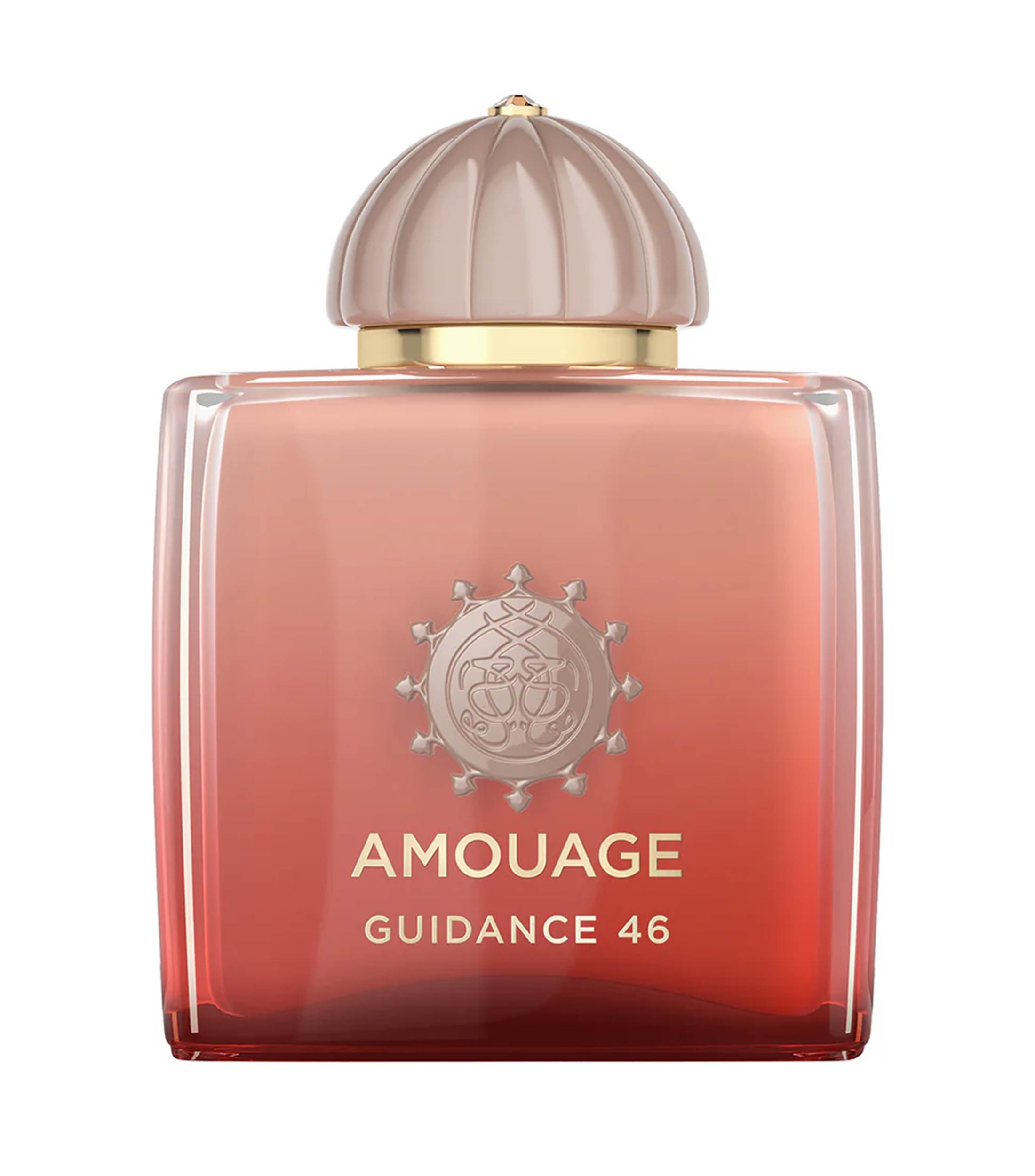 Perfume Guidance 46 Eau de Parfum 100 ml para Mujer
