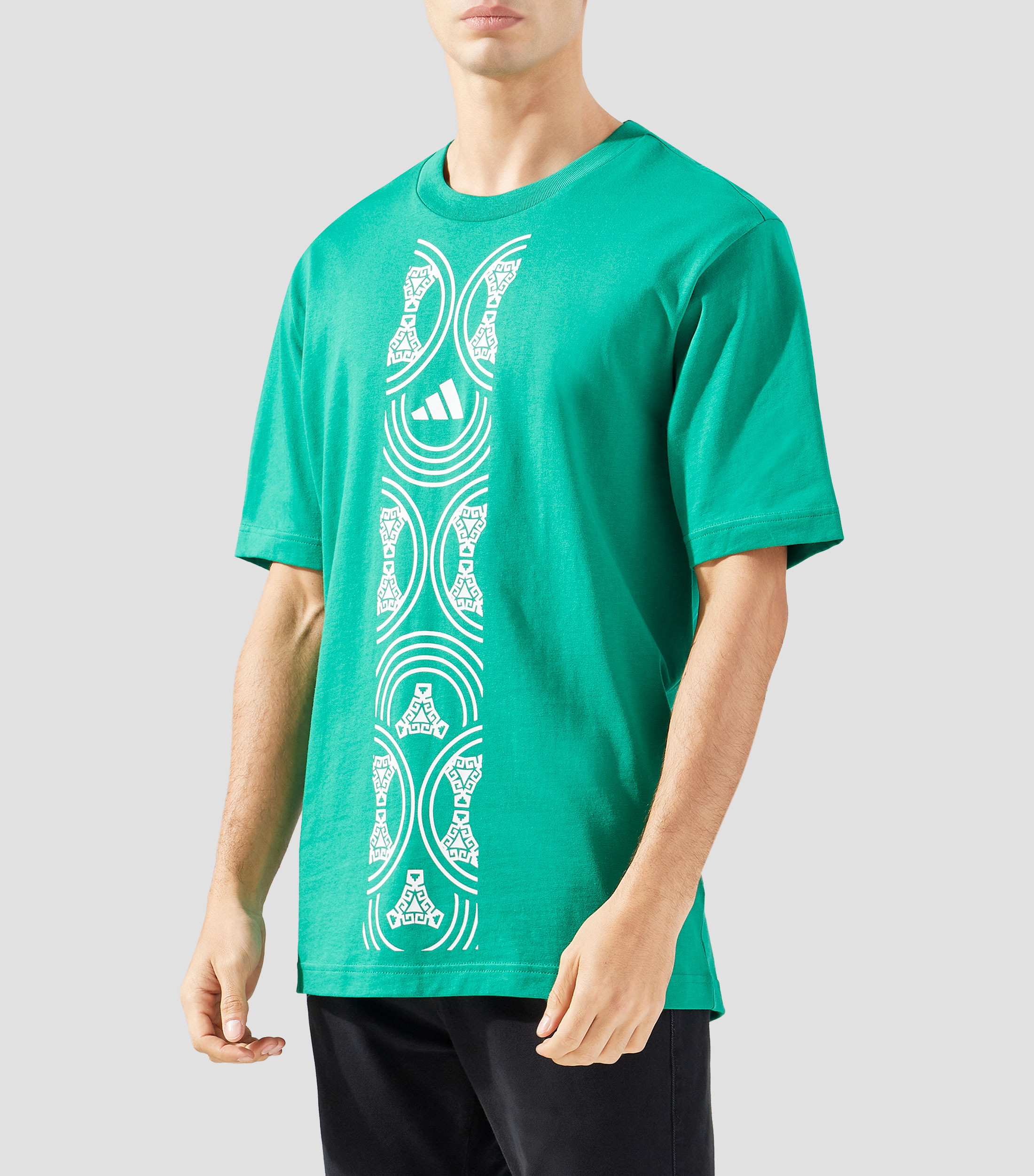 Playera cuello redondo manga corta estampada Hombre