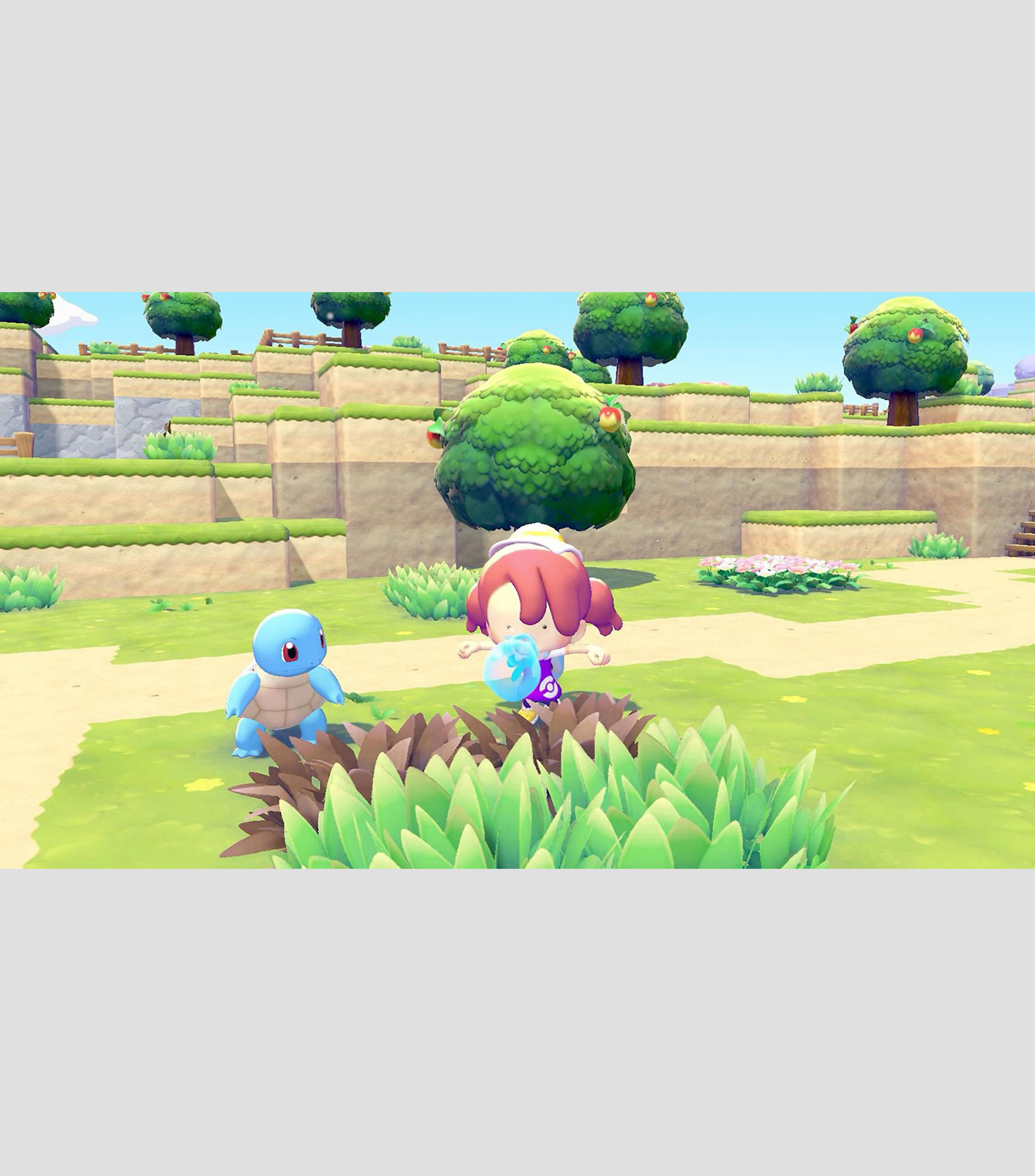 Pokémon Pokopia Nintendo Switch 2